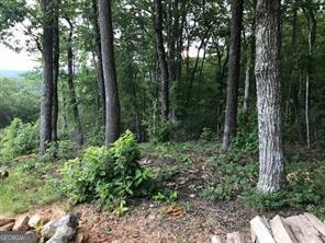 25 Long Mountain Trail Property Photo 12