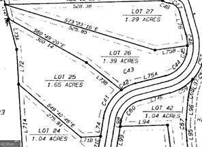 25 Long Mountain Trail Property Photo 13
