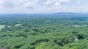 25 Long Mountain Trail Property Photo 14