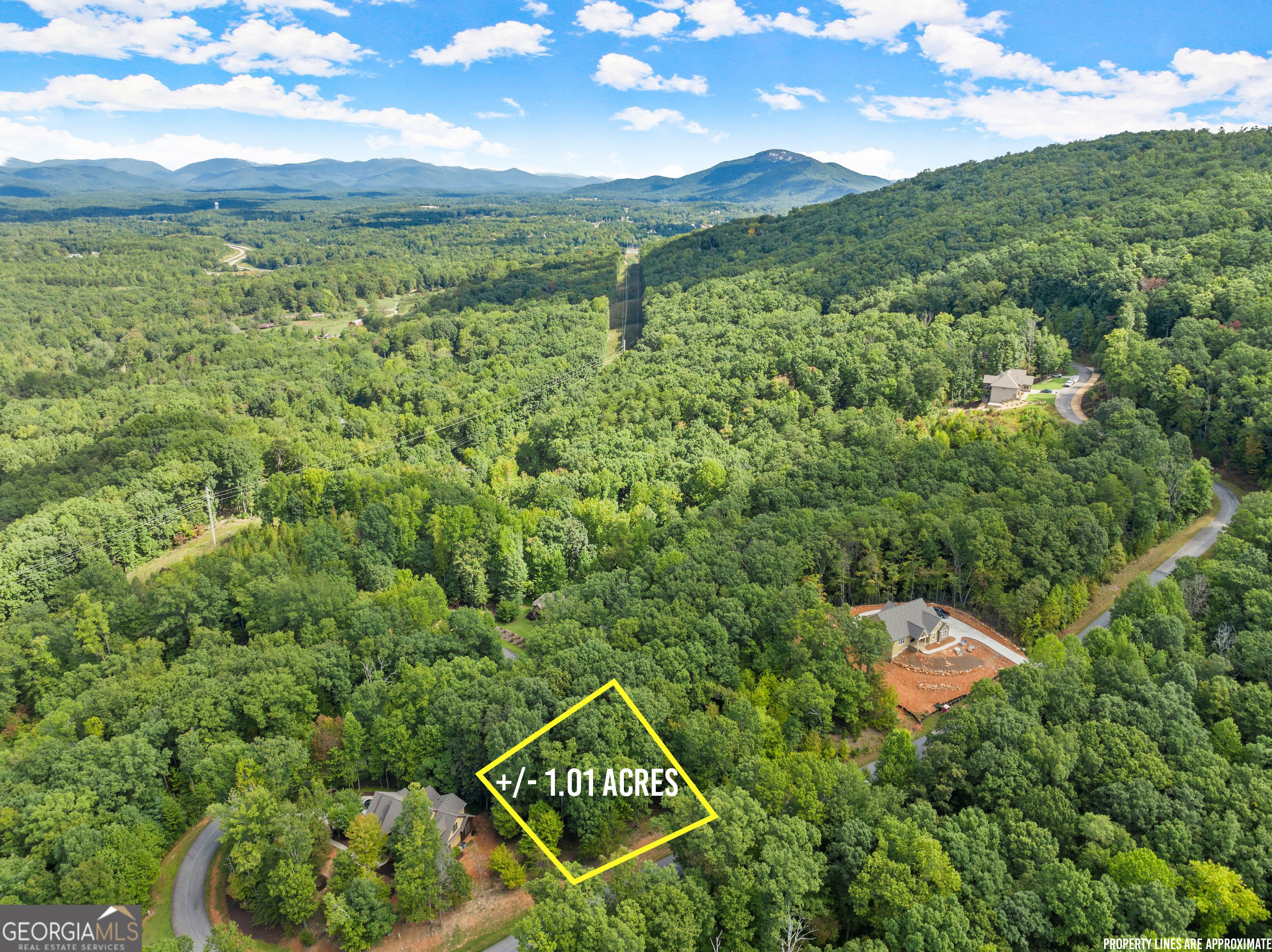 25 Long Mountain Trail Property Photo 19