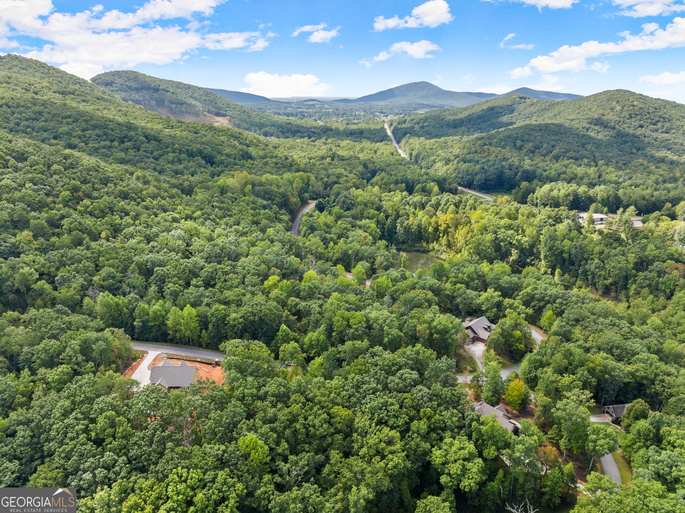 25 Long Mountain Trail Property Photo 24