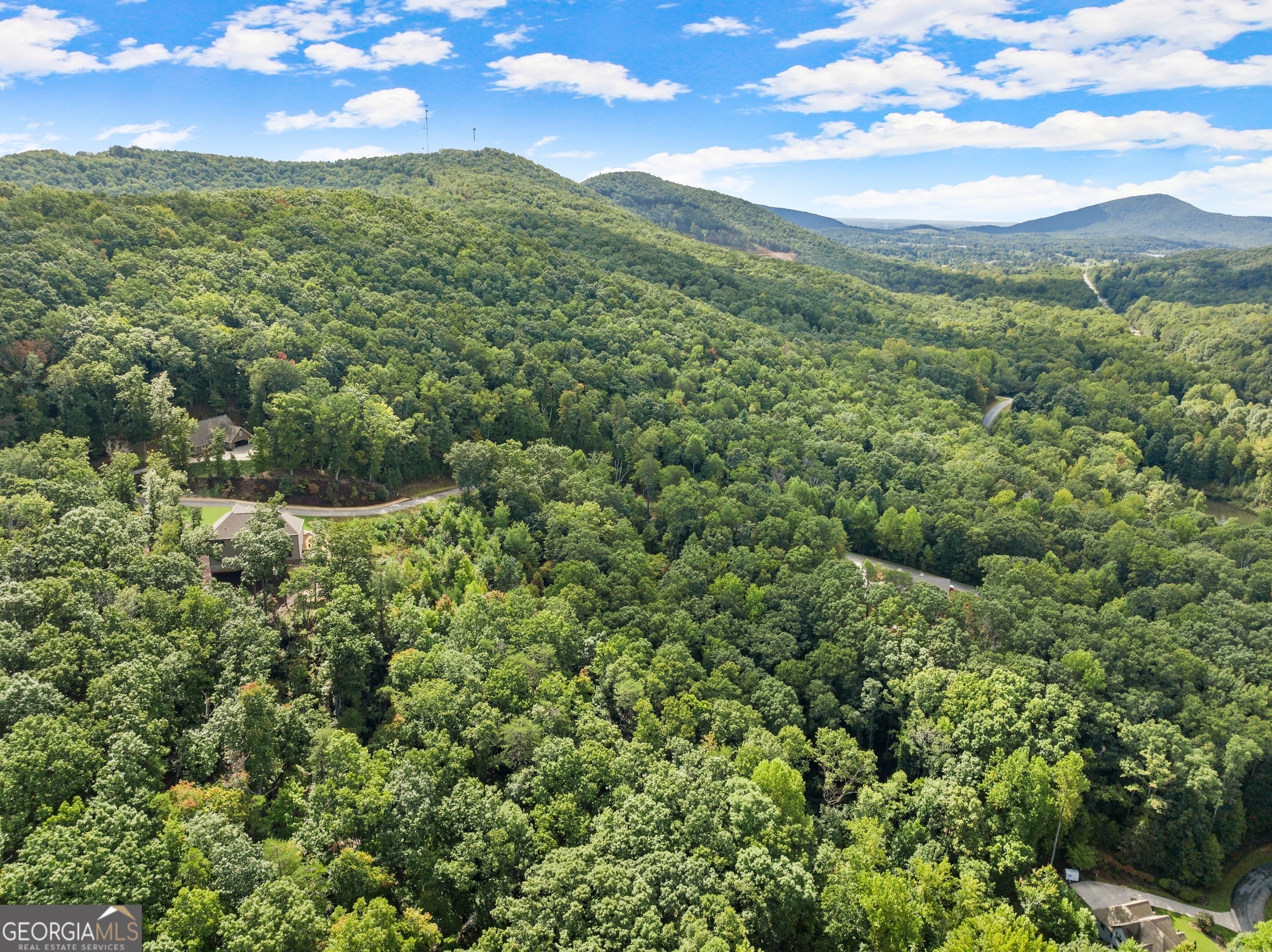 25 Long Mountain Trail Property Photo 26