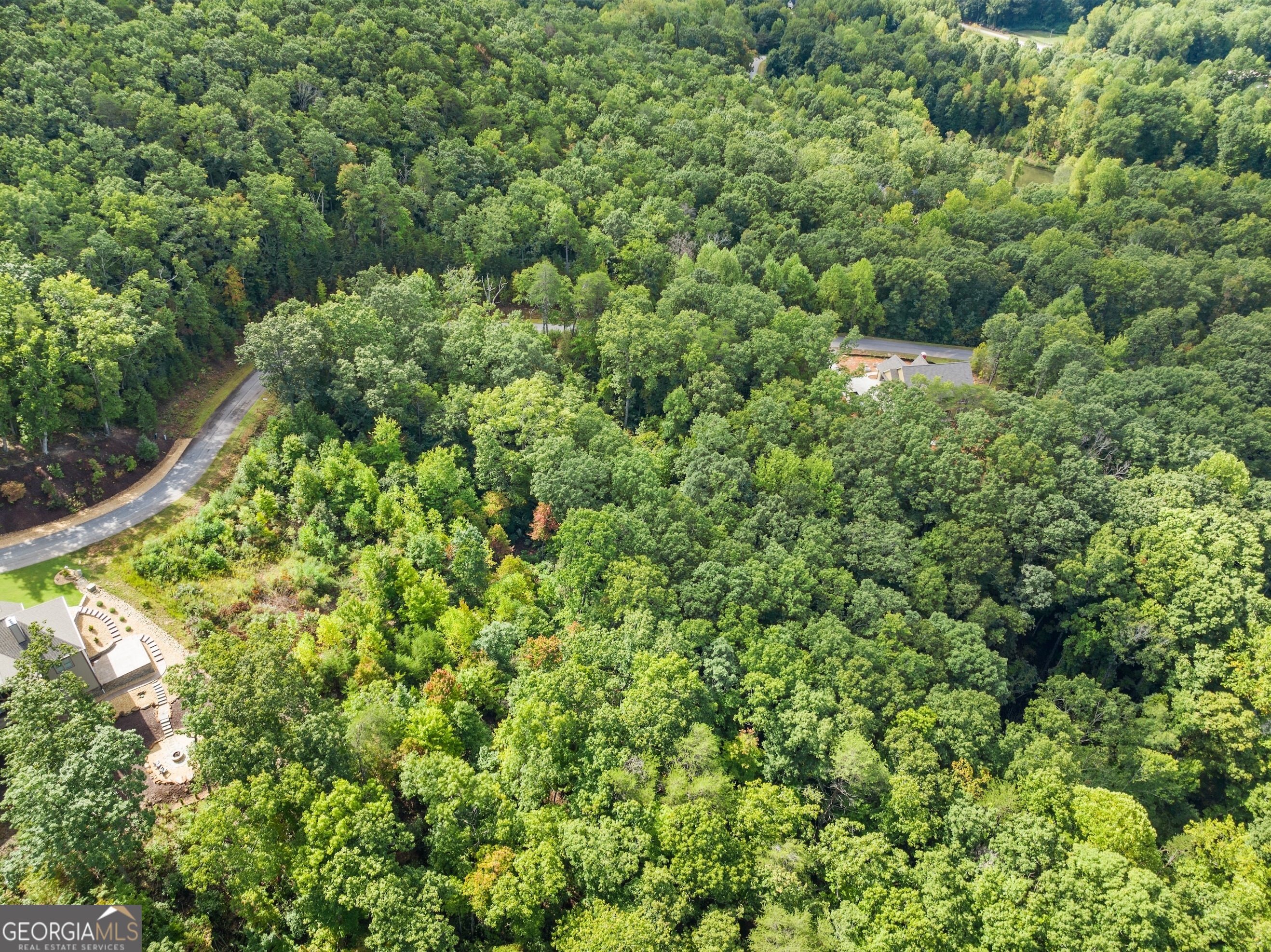 25 Long Mountain Trail Property Photo 28