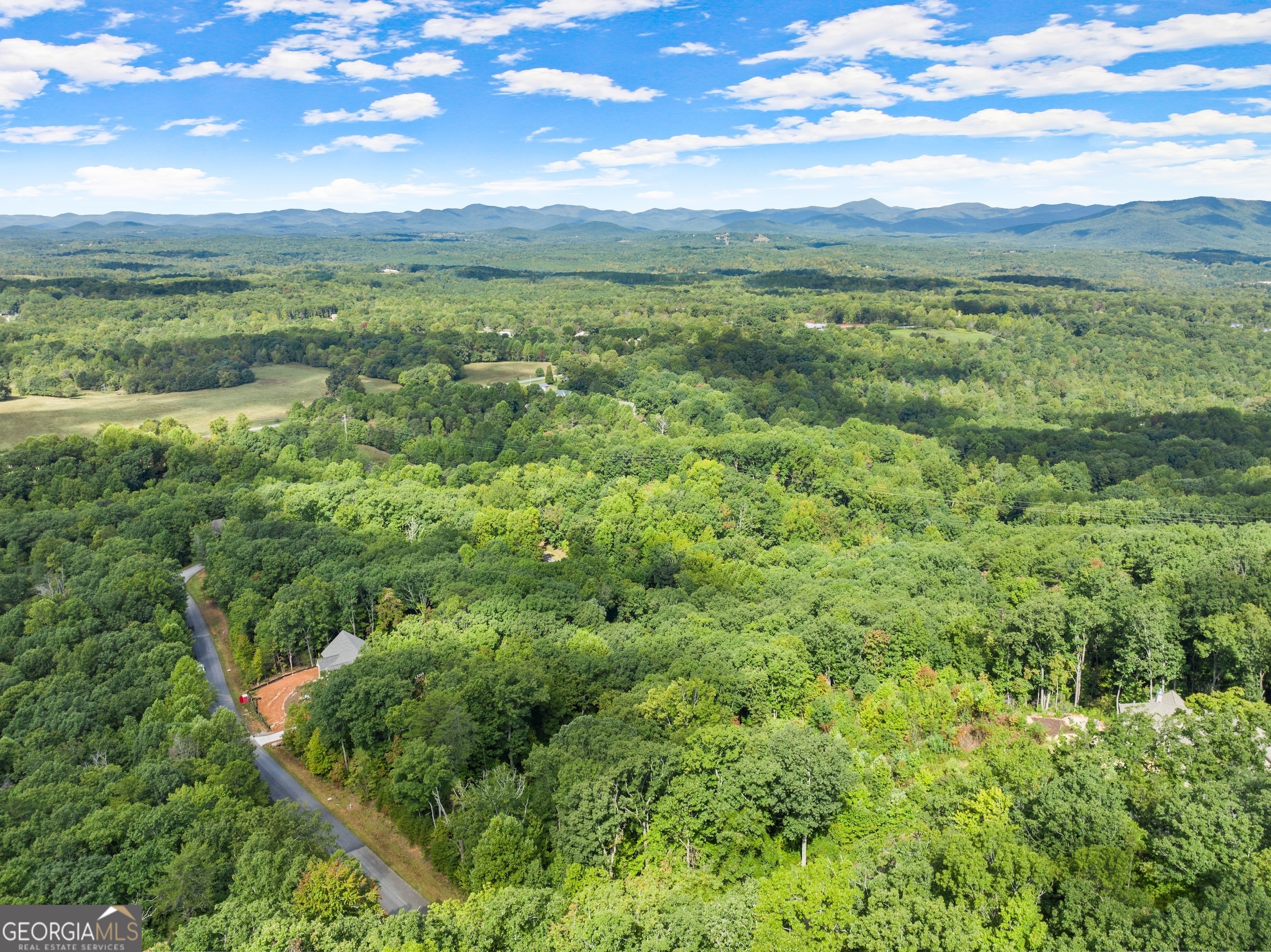 25 Long Mountain Trail Property Photo 32