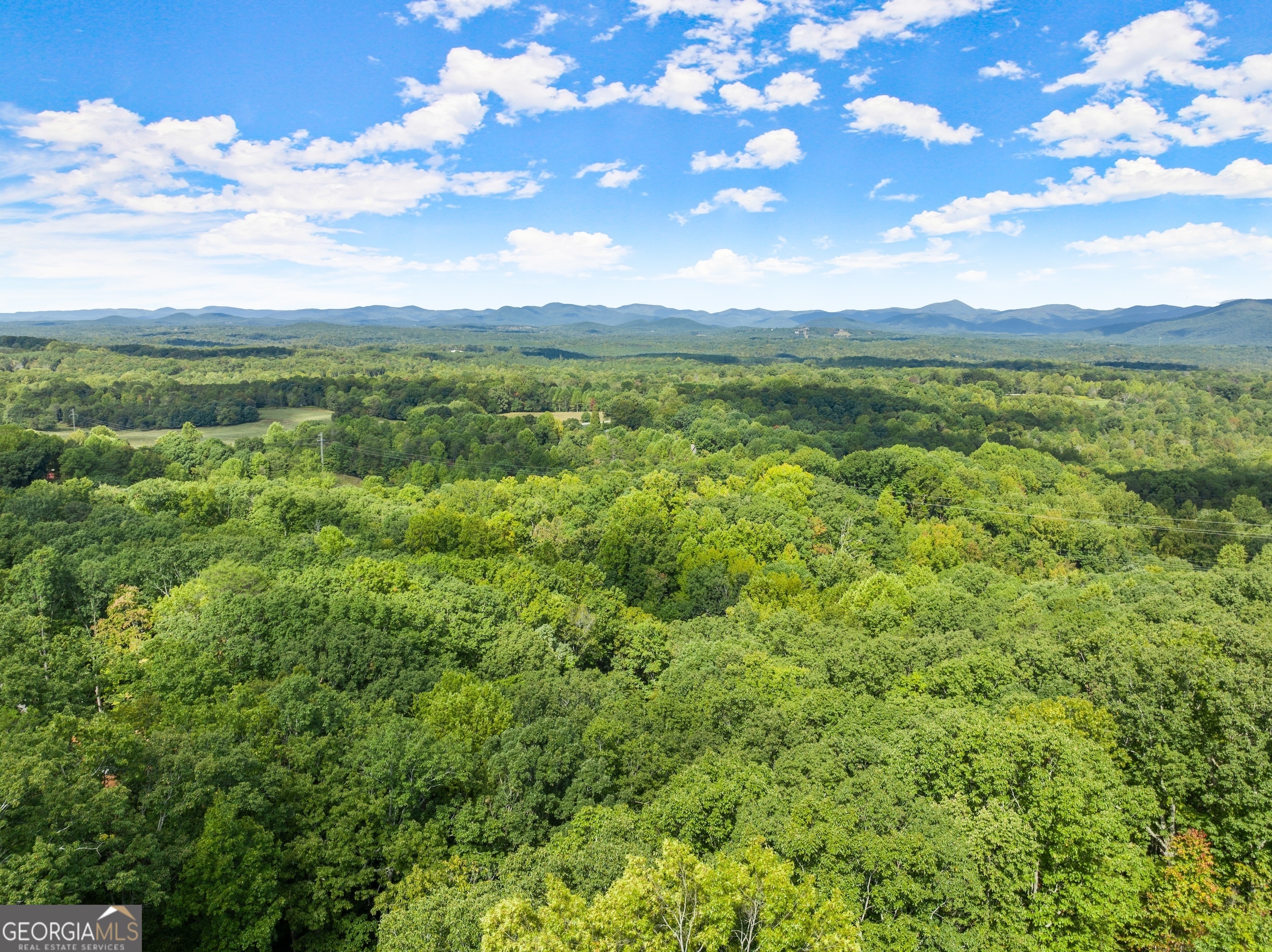 25 Long Mountain Trail Property Photo 34