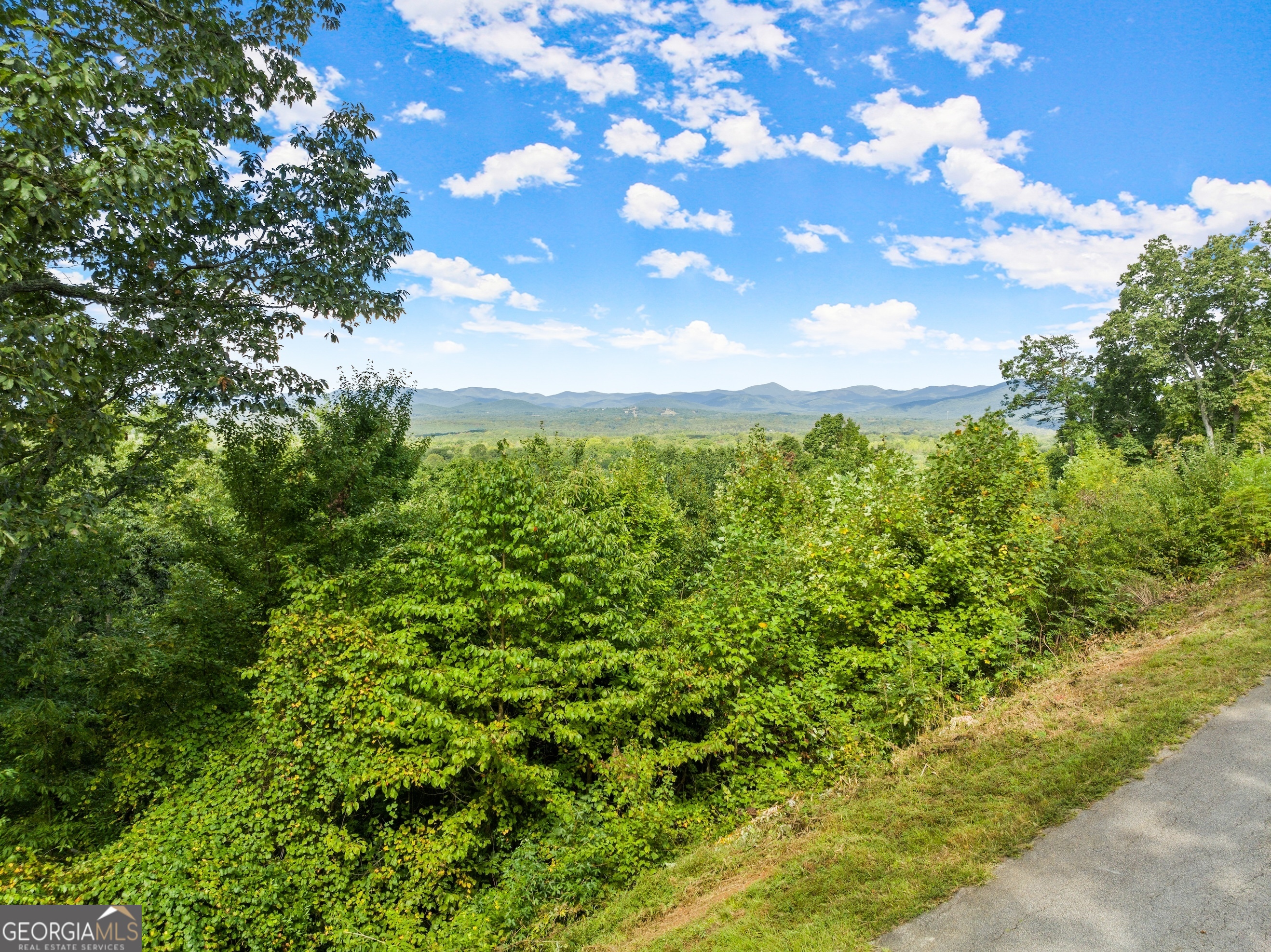 25 Long Mountain Trail Property Photo 35
