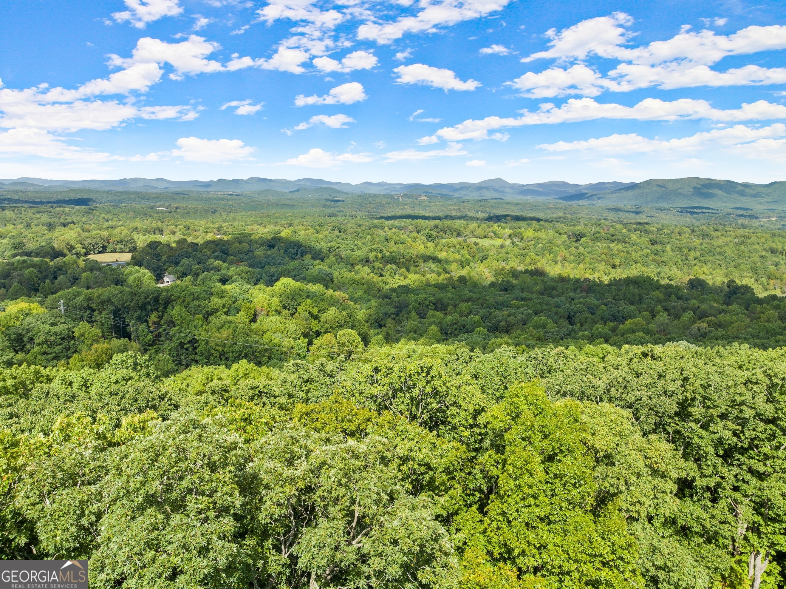 25 Long Mountain Trail Property Photo 37