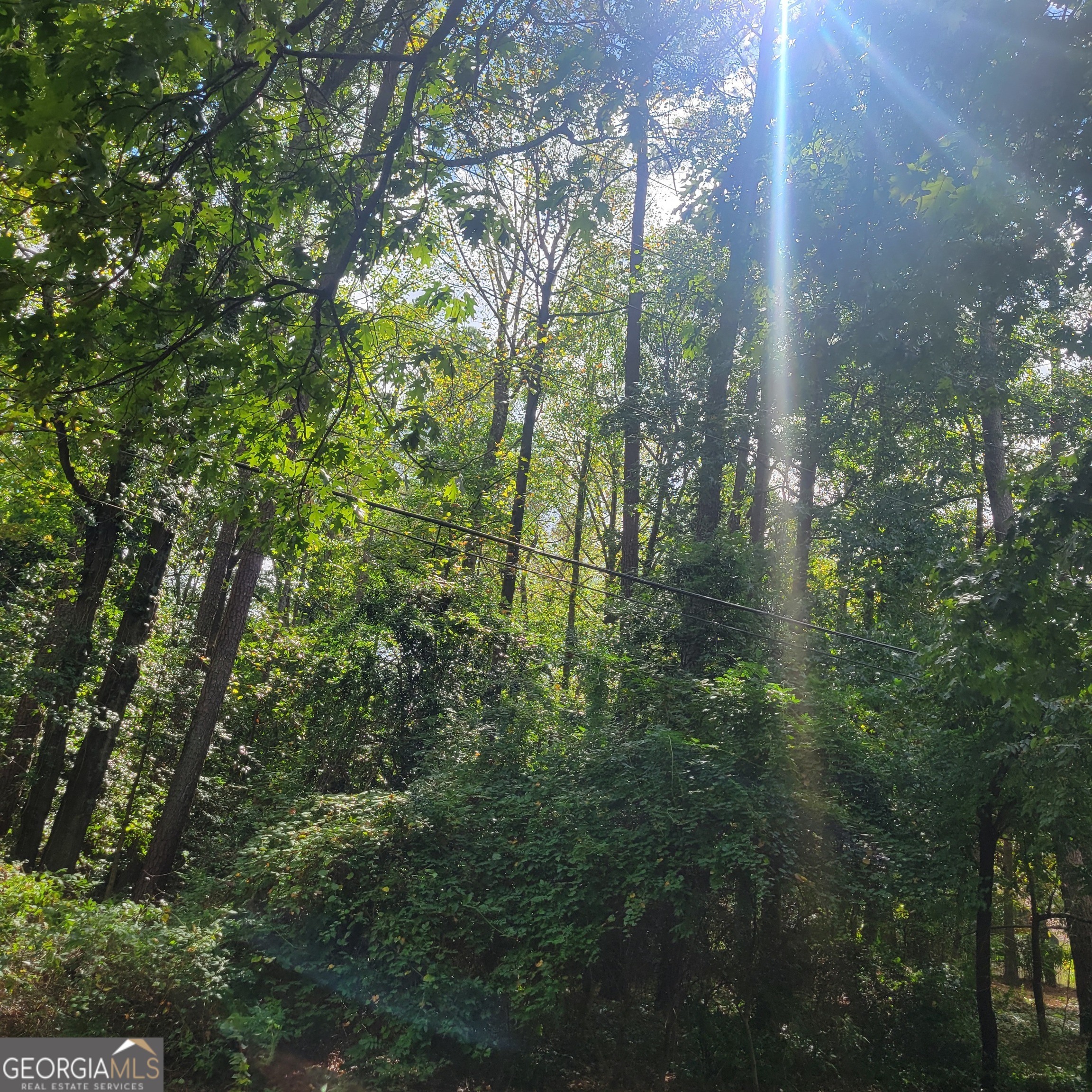 0 Bohannon Property Photo 1