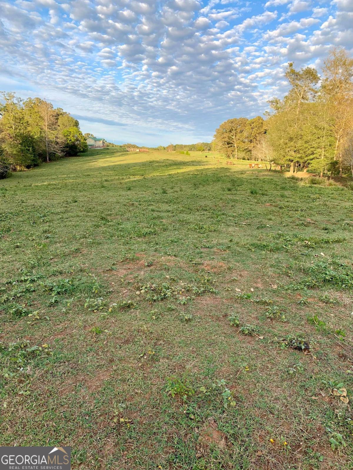 0 Harris Farms Road Property Photo 1