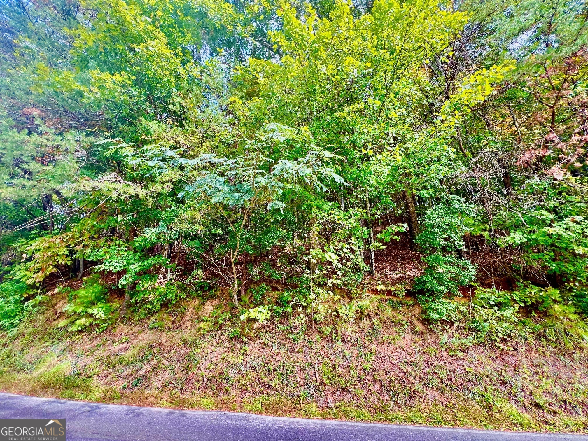 12 Cherokee Drive Property Photo 4