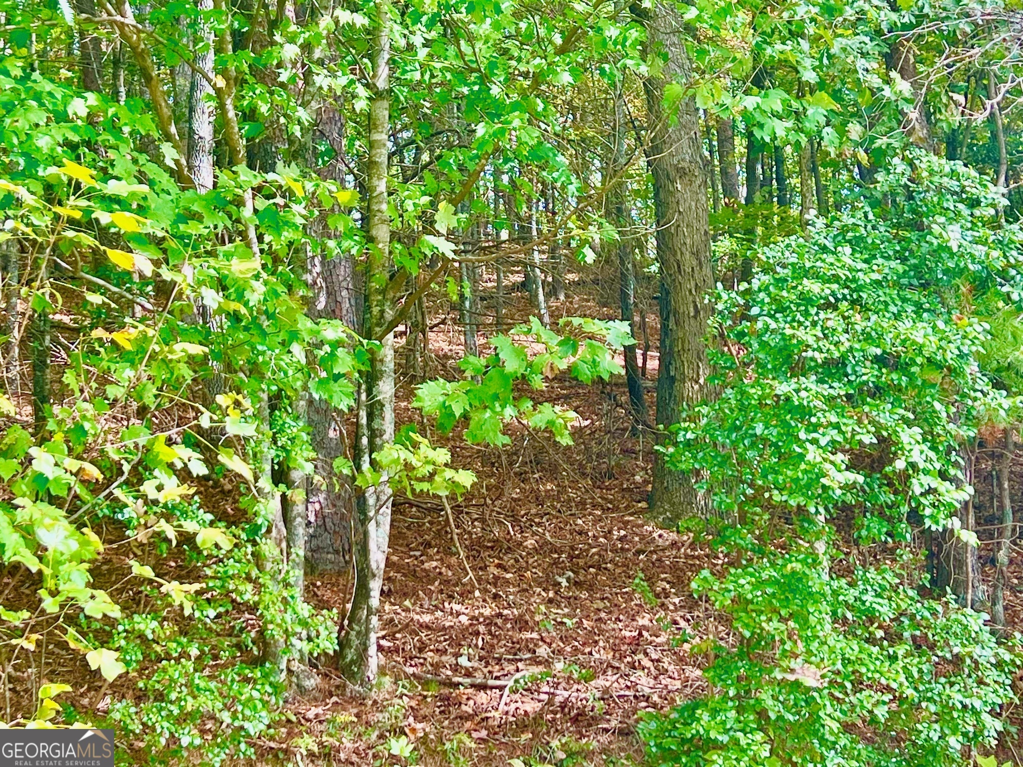 12 Cherokee Drive Property Photo 6