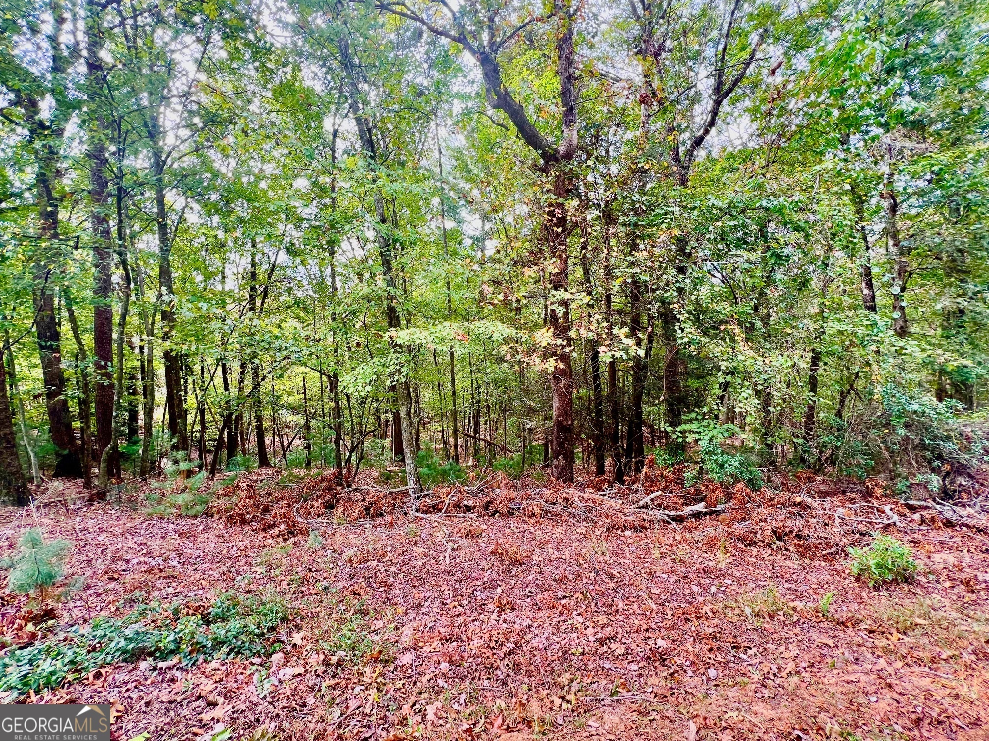 298 Etowah Drive Property Photo 1