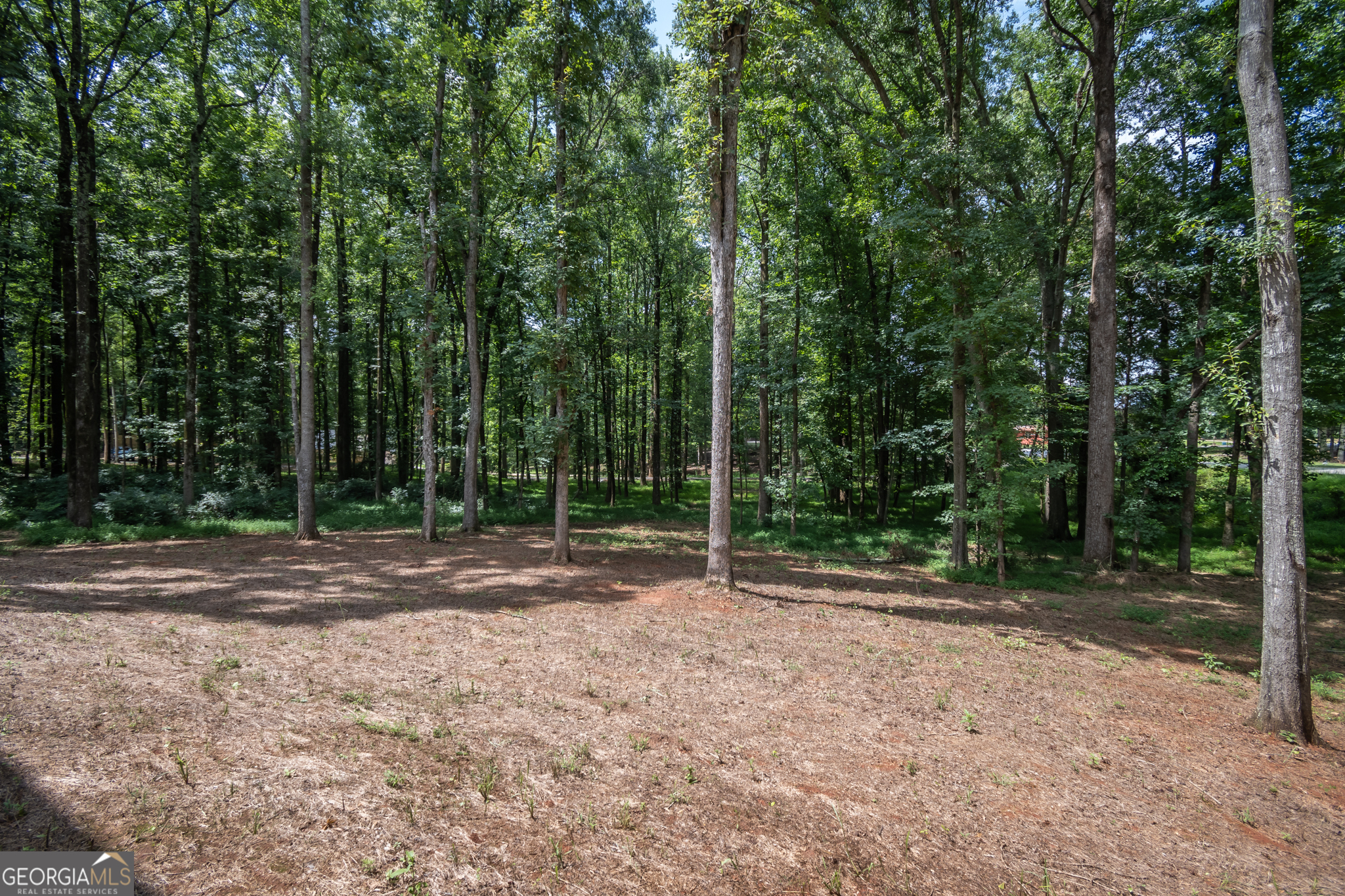 233 Bellamy Road Property Photo 19