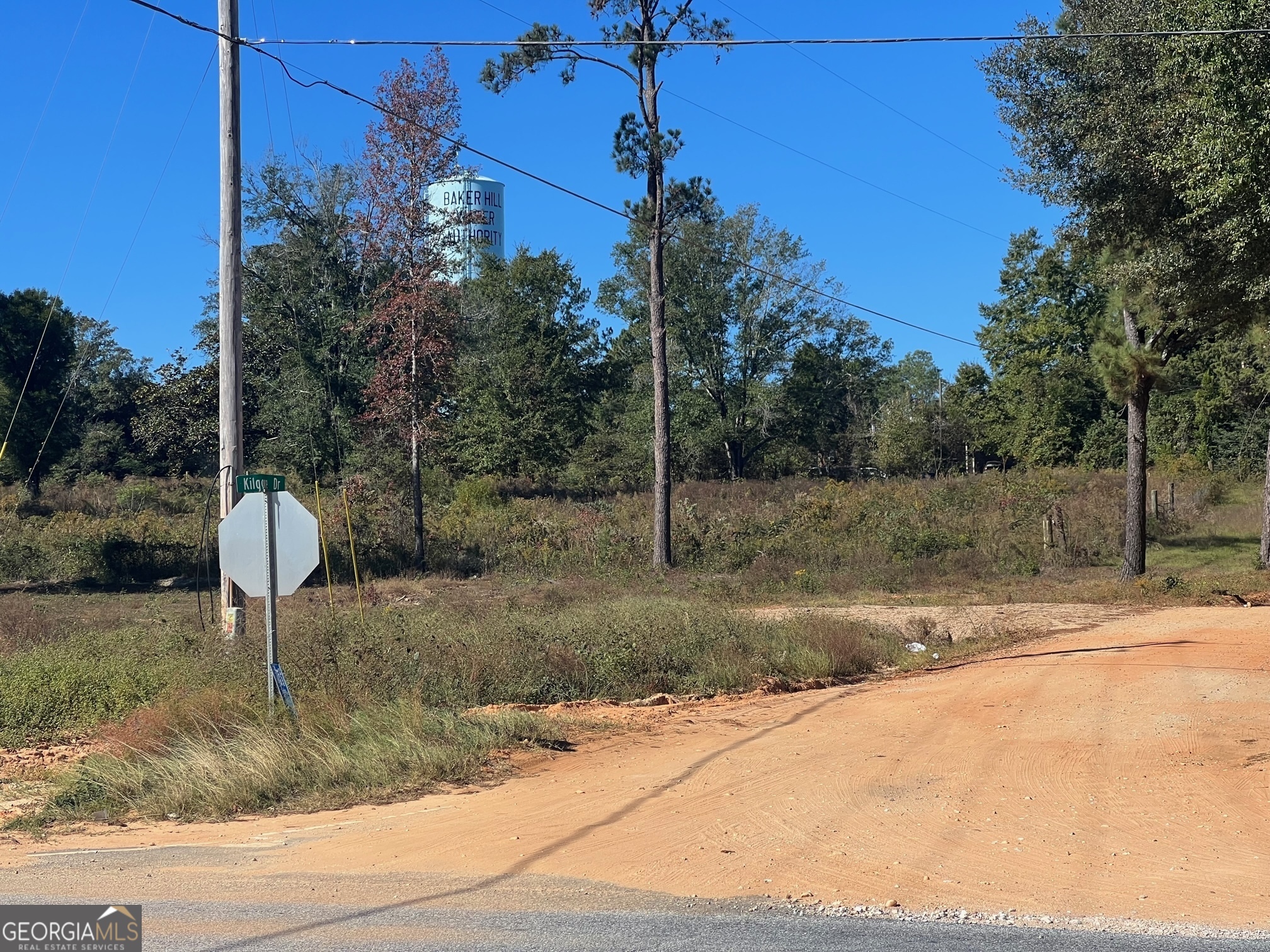 0 S Hwy 431 Property Photo 2