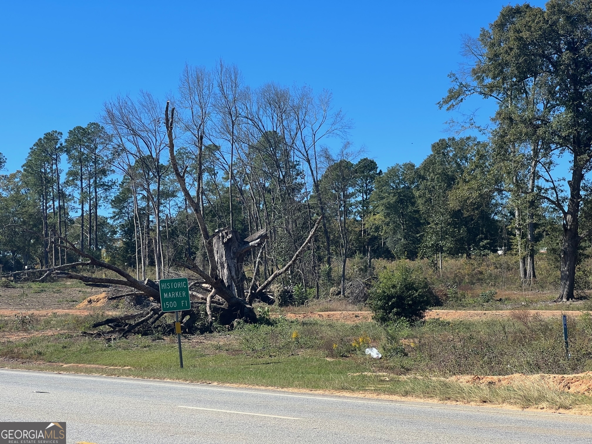 0 S Hwy 431 Property Photo 3