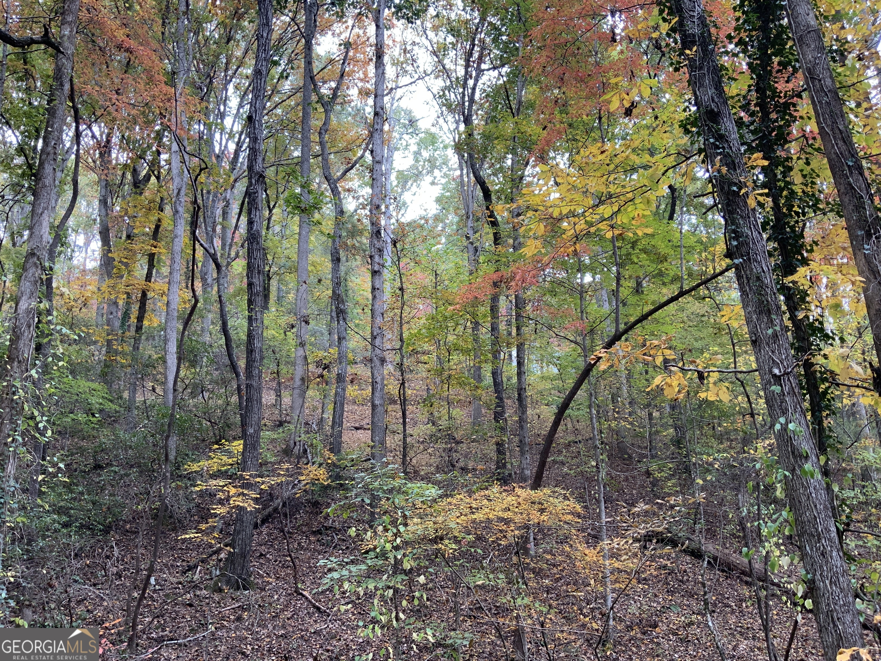 224 Magnolia Drive Property Photo 8