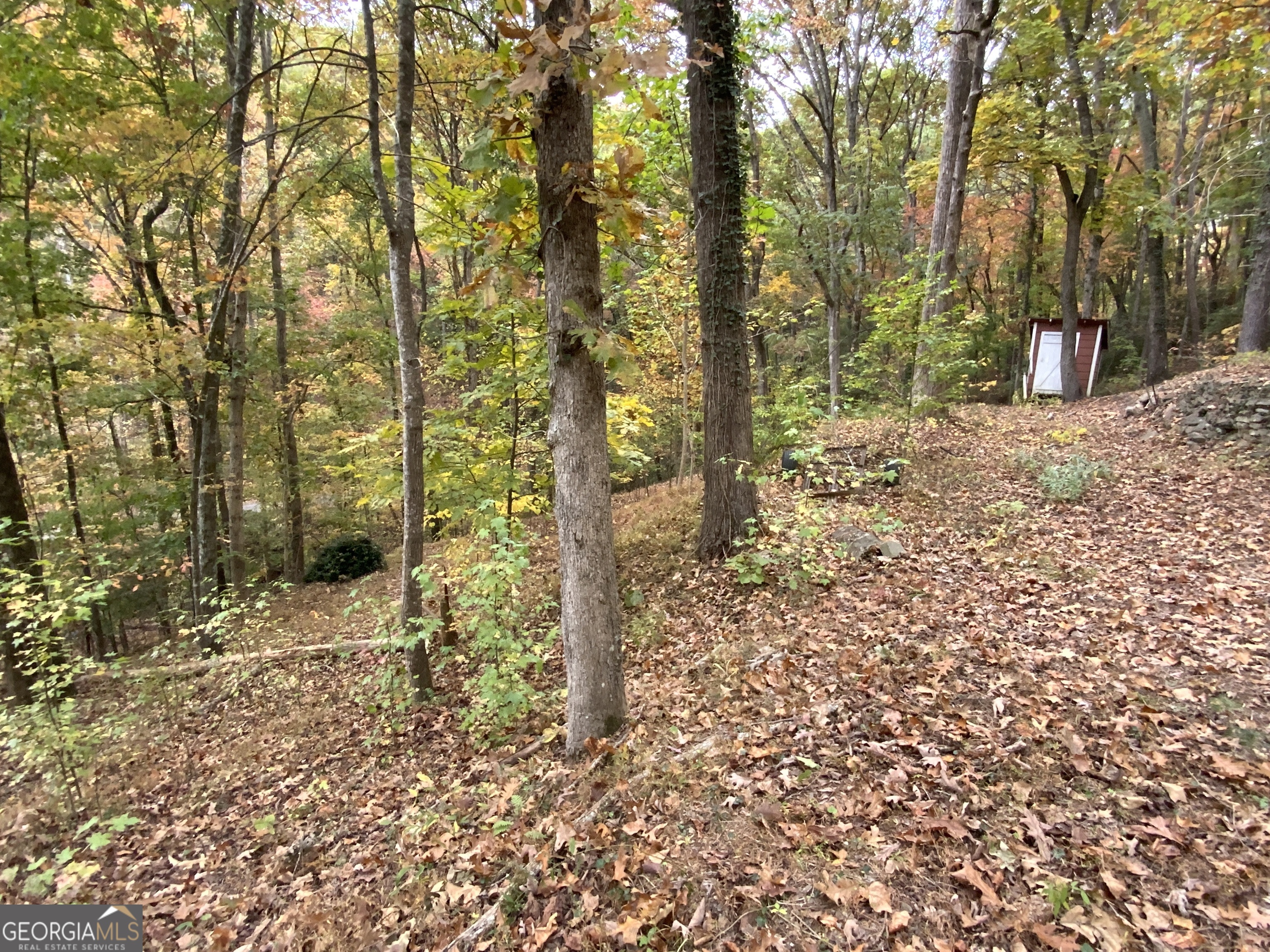 224 Magnolia Drive Property Photo 13