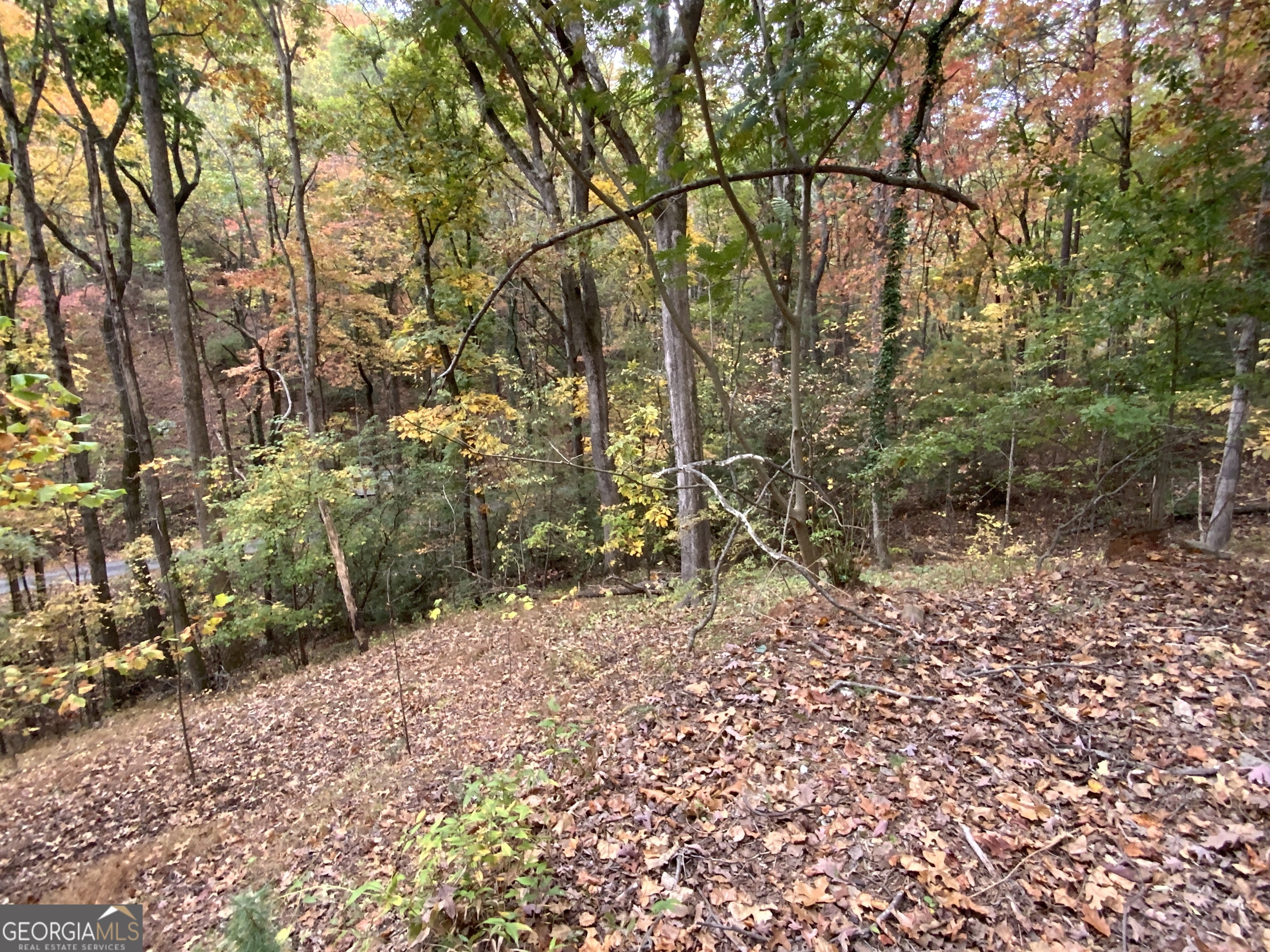 224 Magnolia Drive Property Photo 14