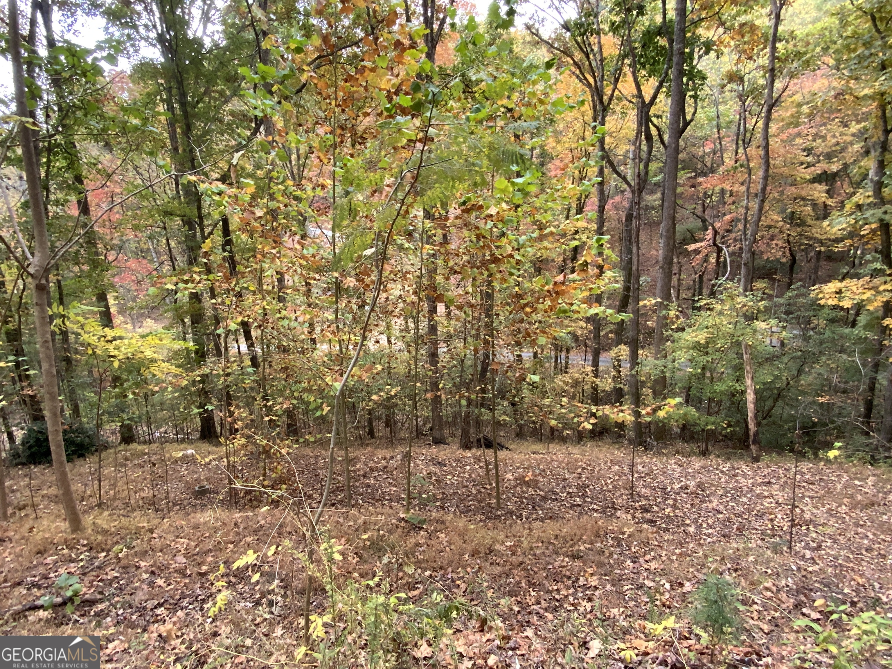 224 Magnolia Drive Property Photo 15