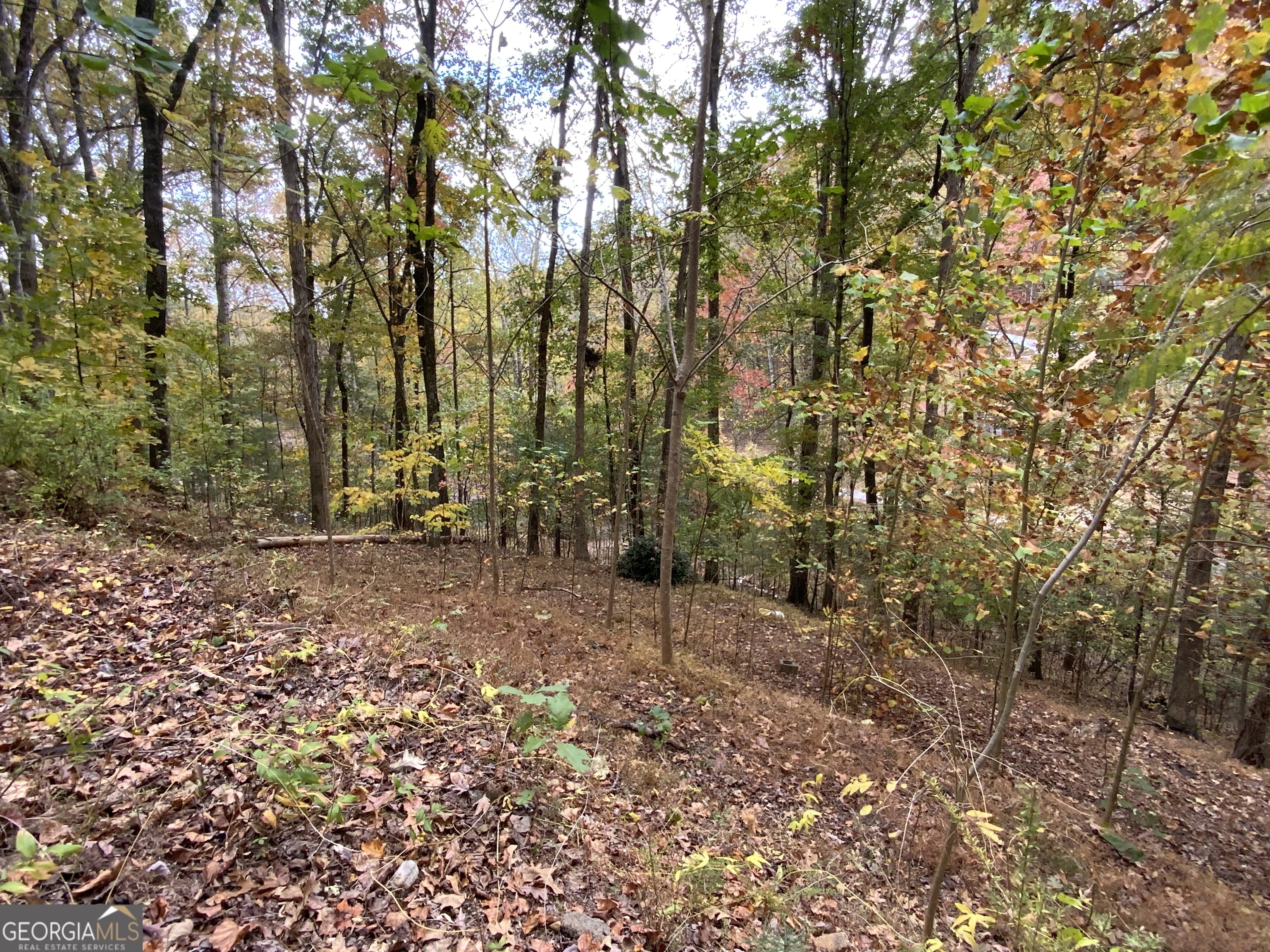 224 Magnolia Drive Property Photo 16