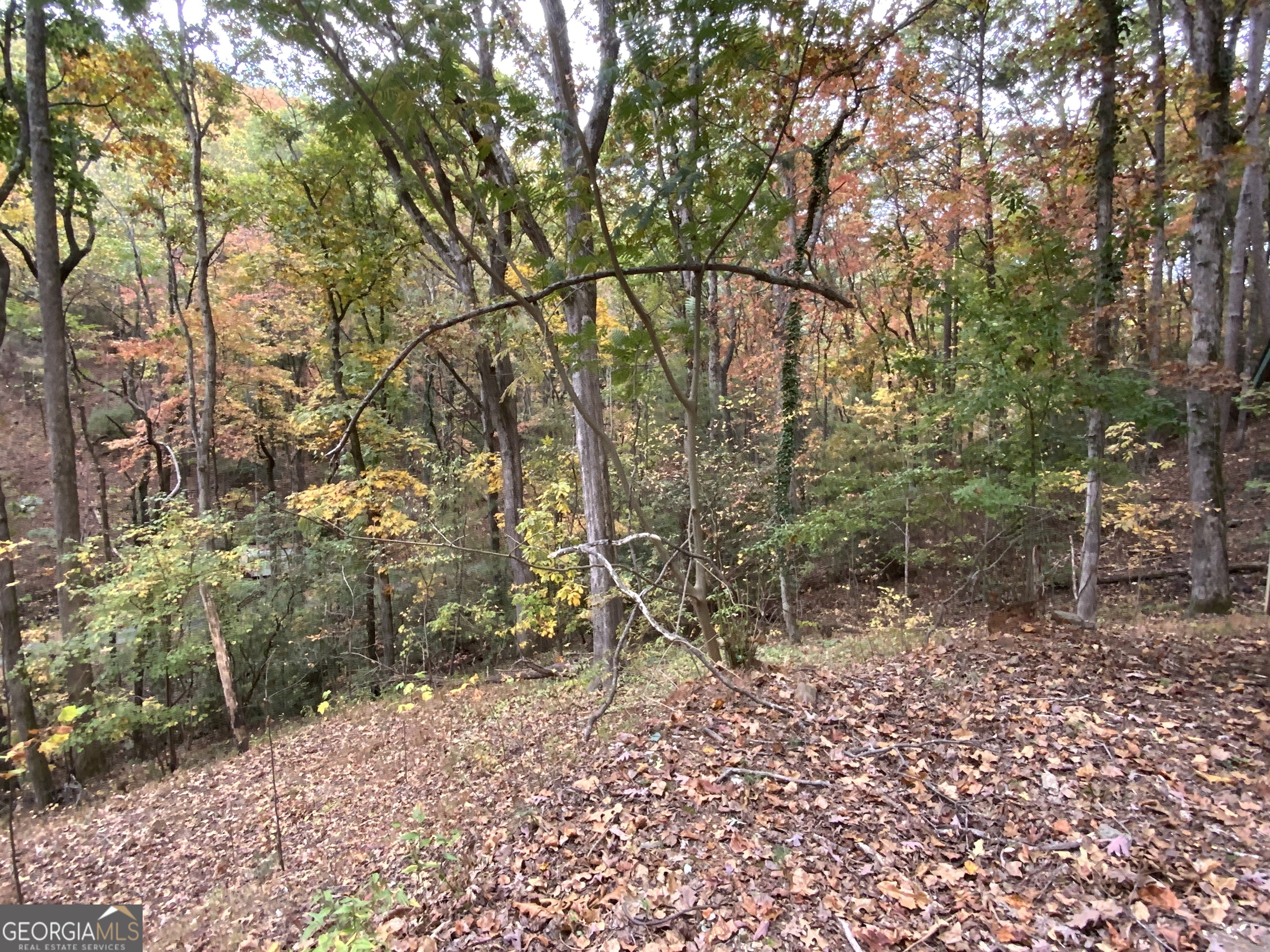 224 Magnolia Drive Property Photo 19