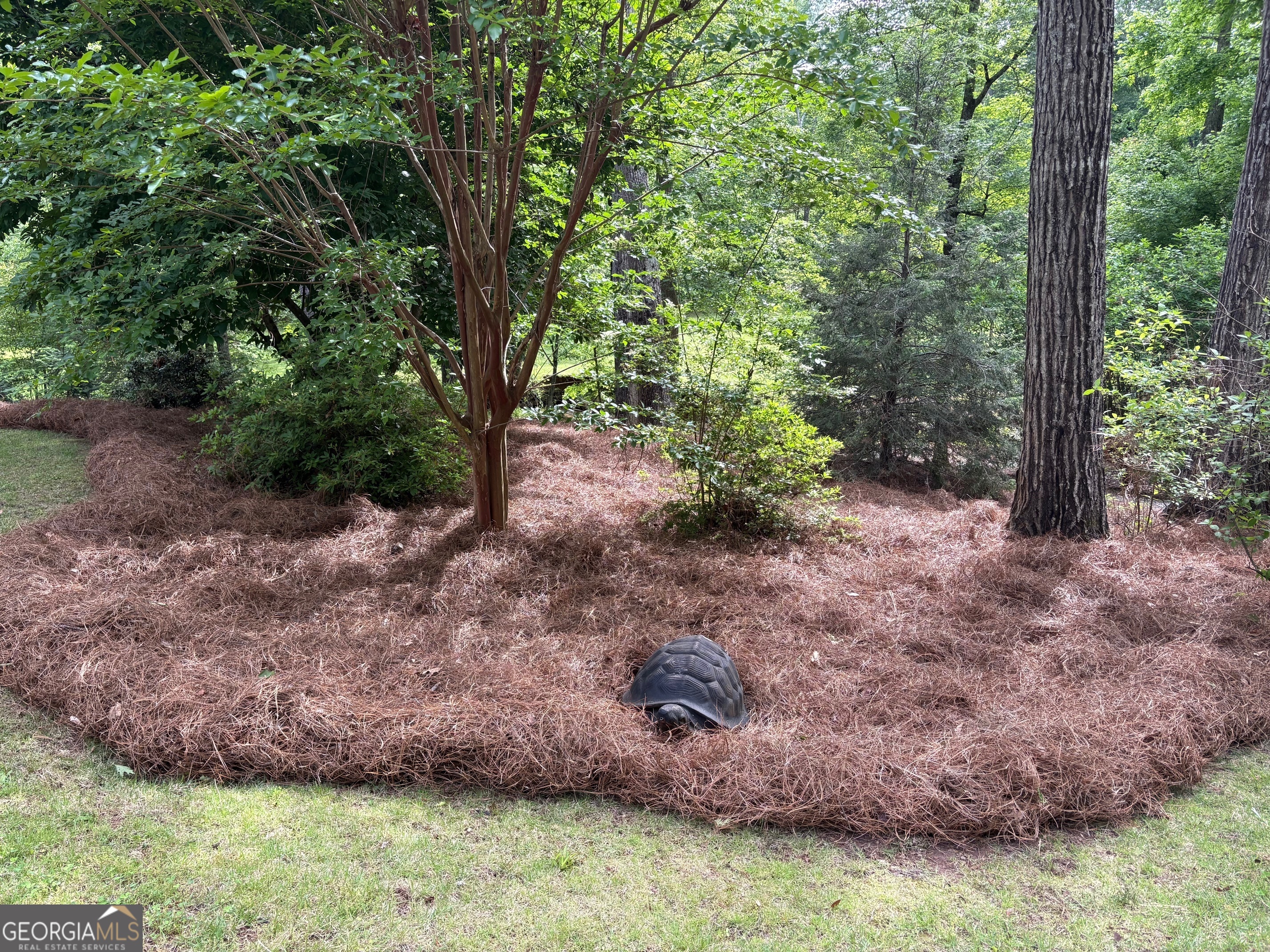 6054 Nebo Road Property Photo 11