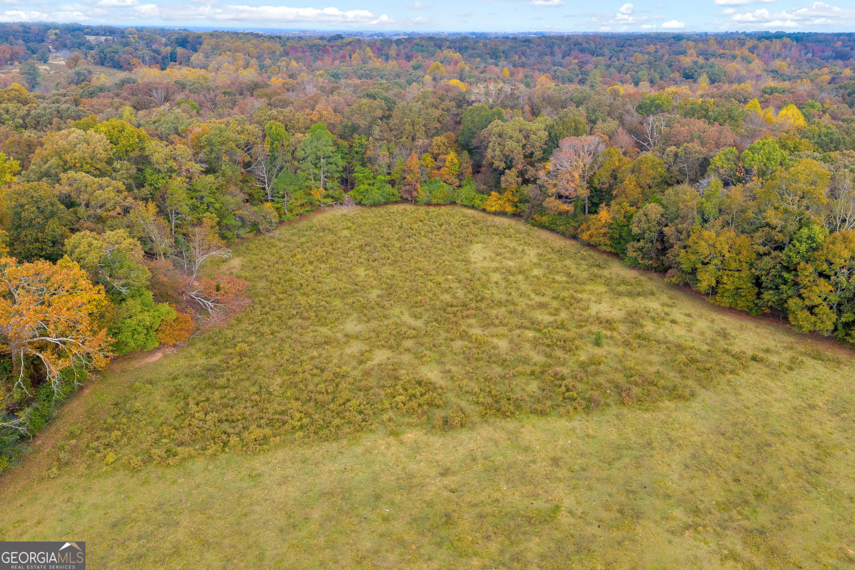 0 Rice Creek Road Property Photo 1