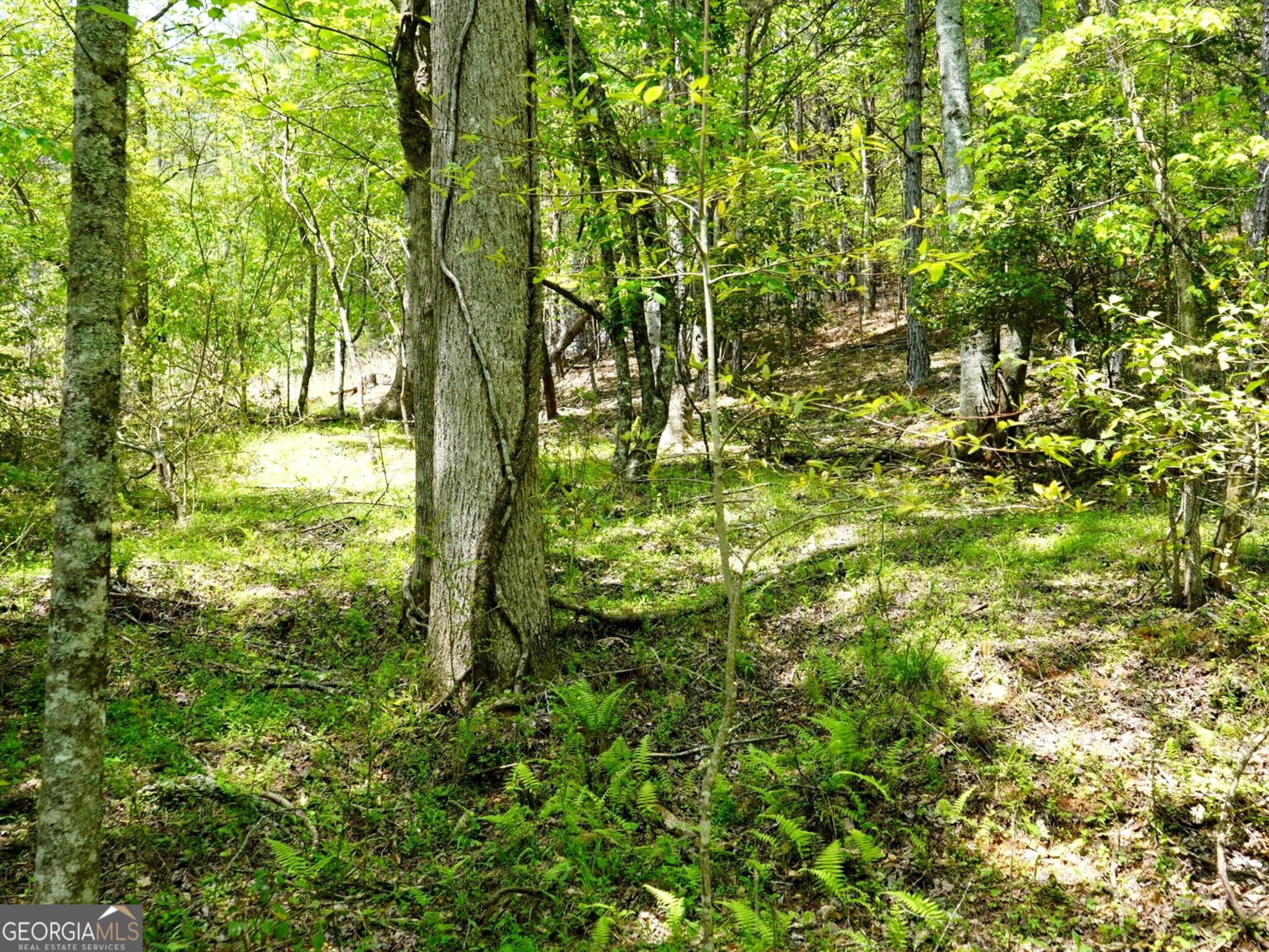 0 Rizzitello Lane Property Photo 13