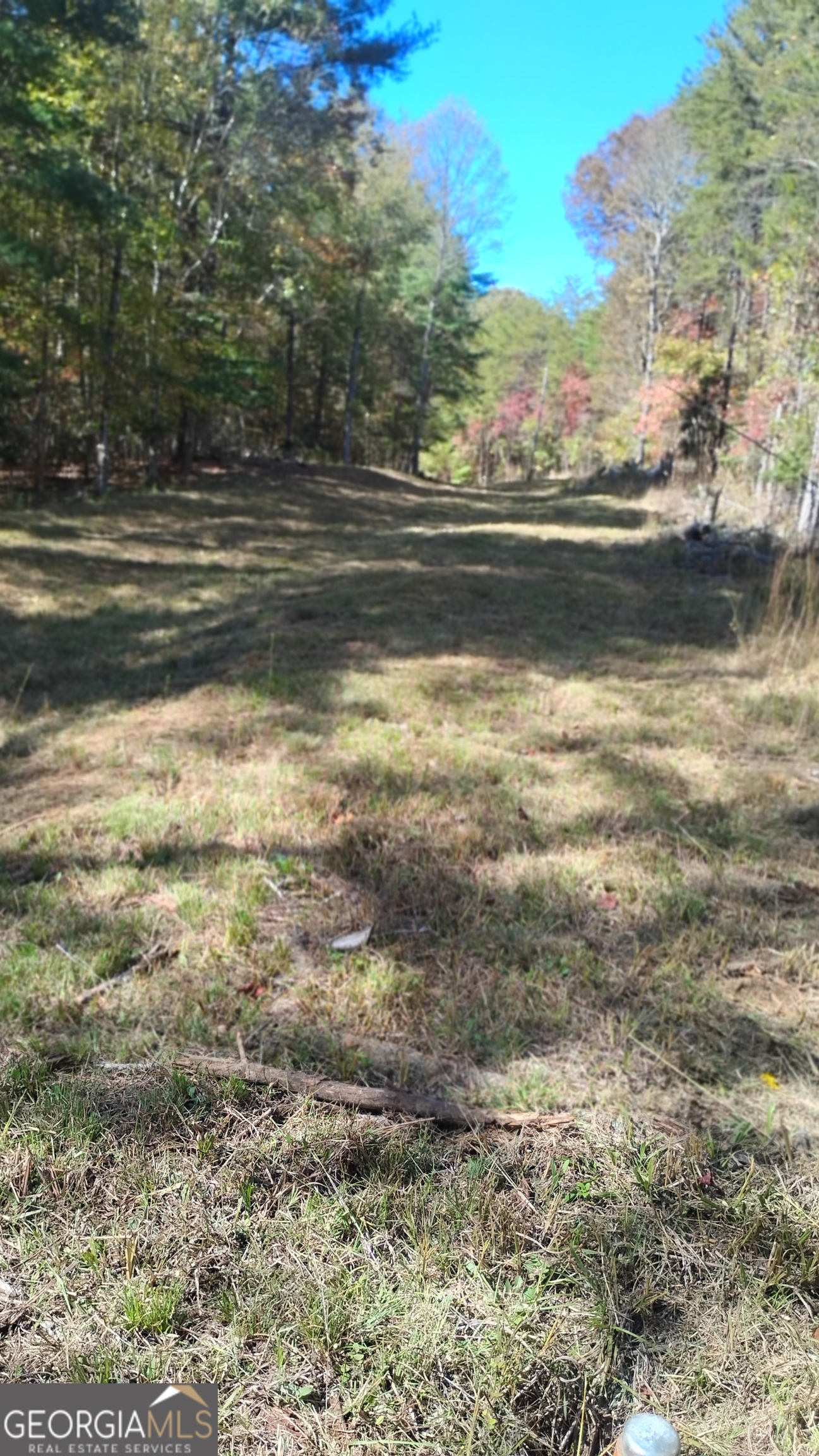 0 Rizzitello Lane Property Photo 23