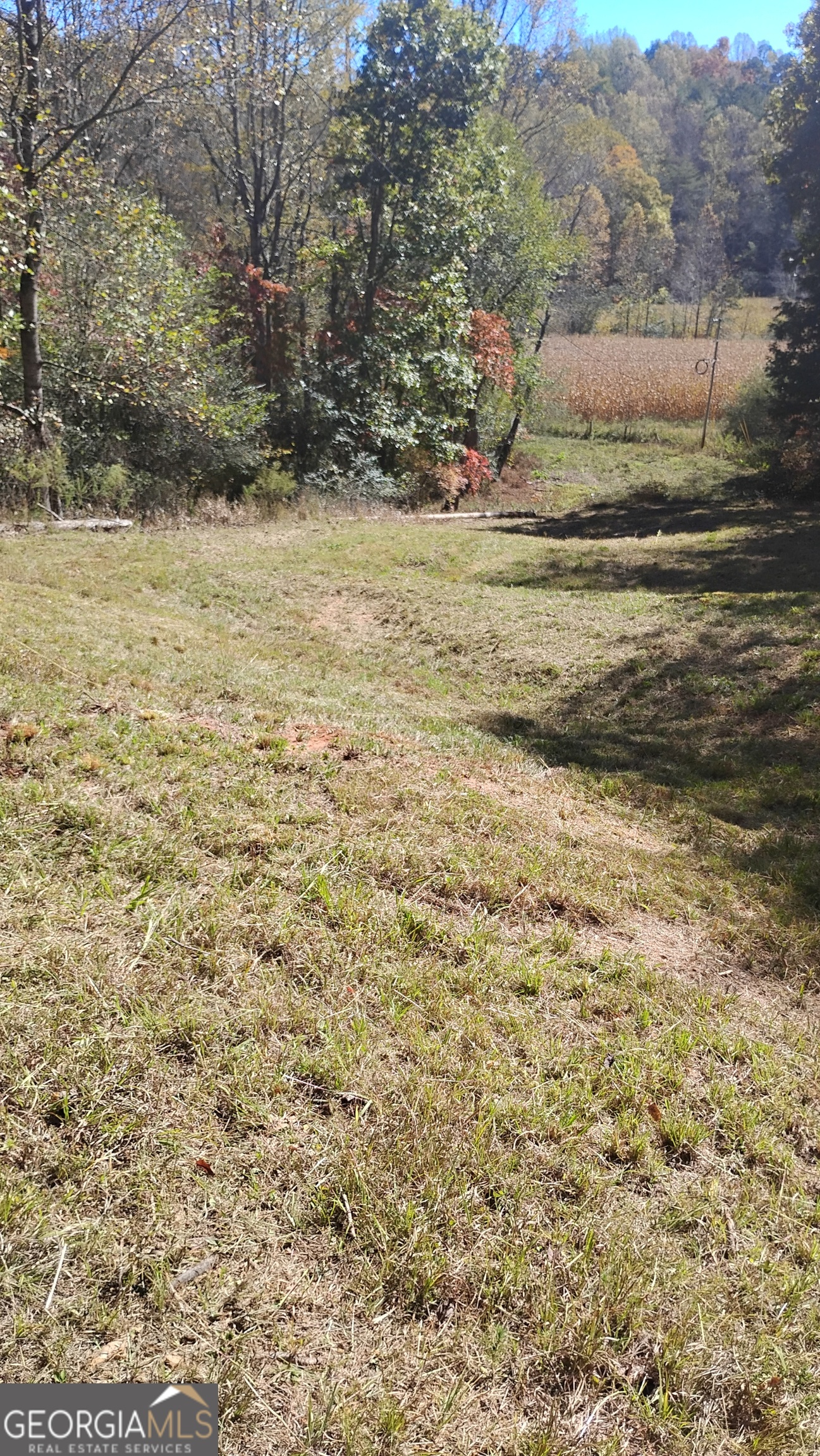 0 Rizzitello Lane Property Photo 24