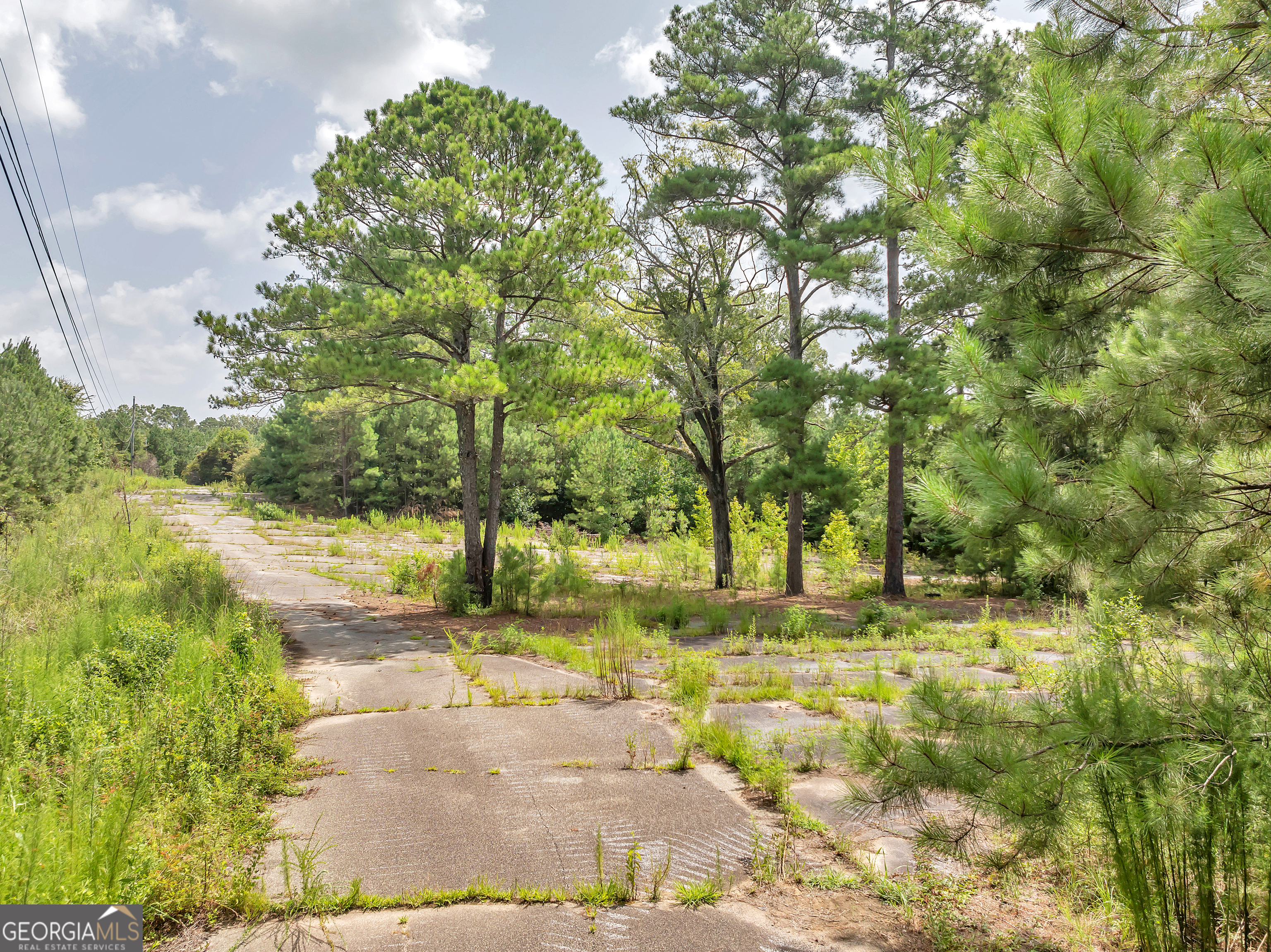 7359 Thomaston Road Property Photo 8