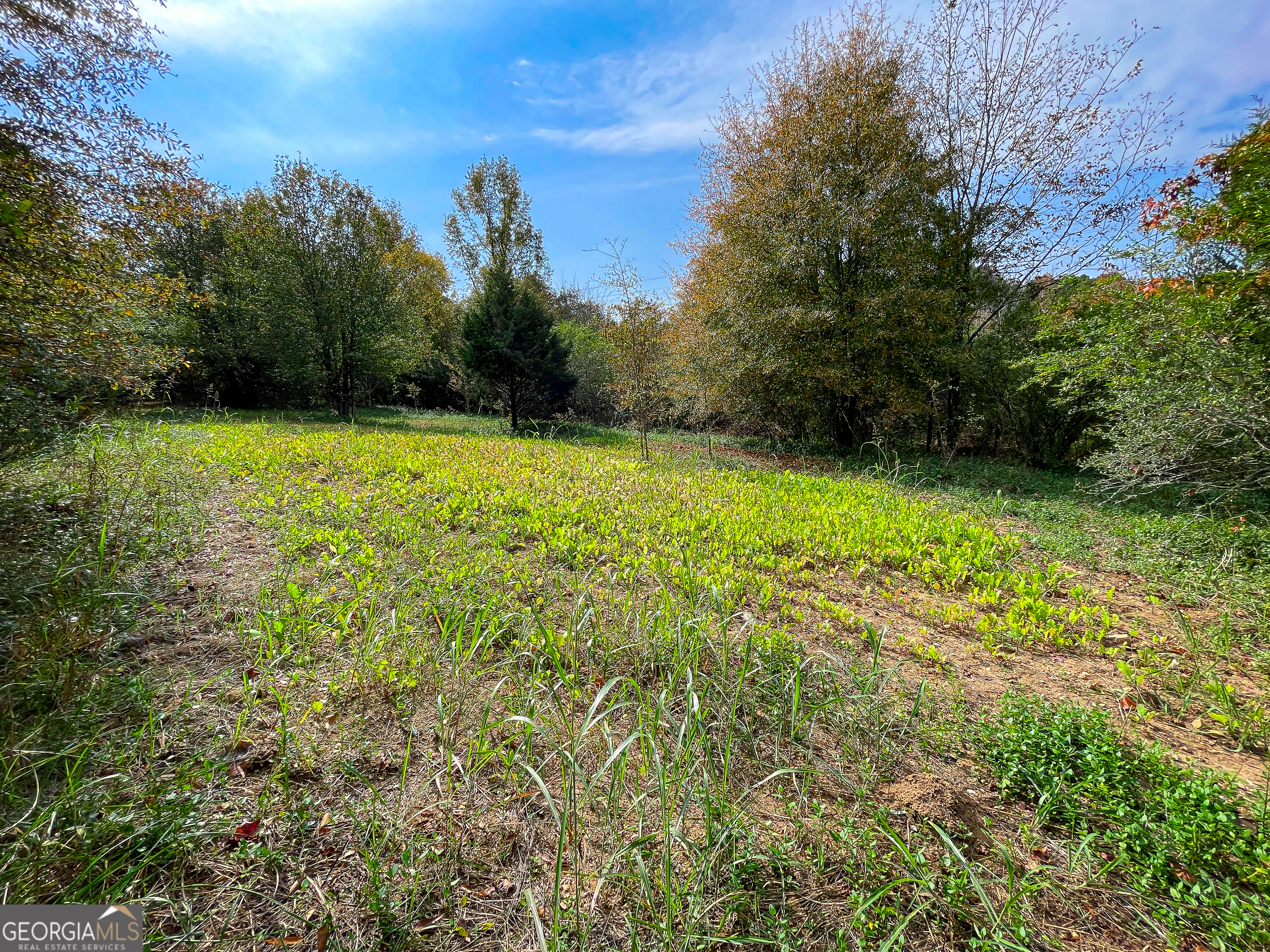 0 Prior Station Road Property Photo 4