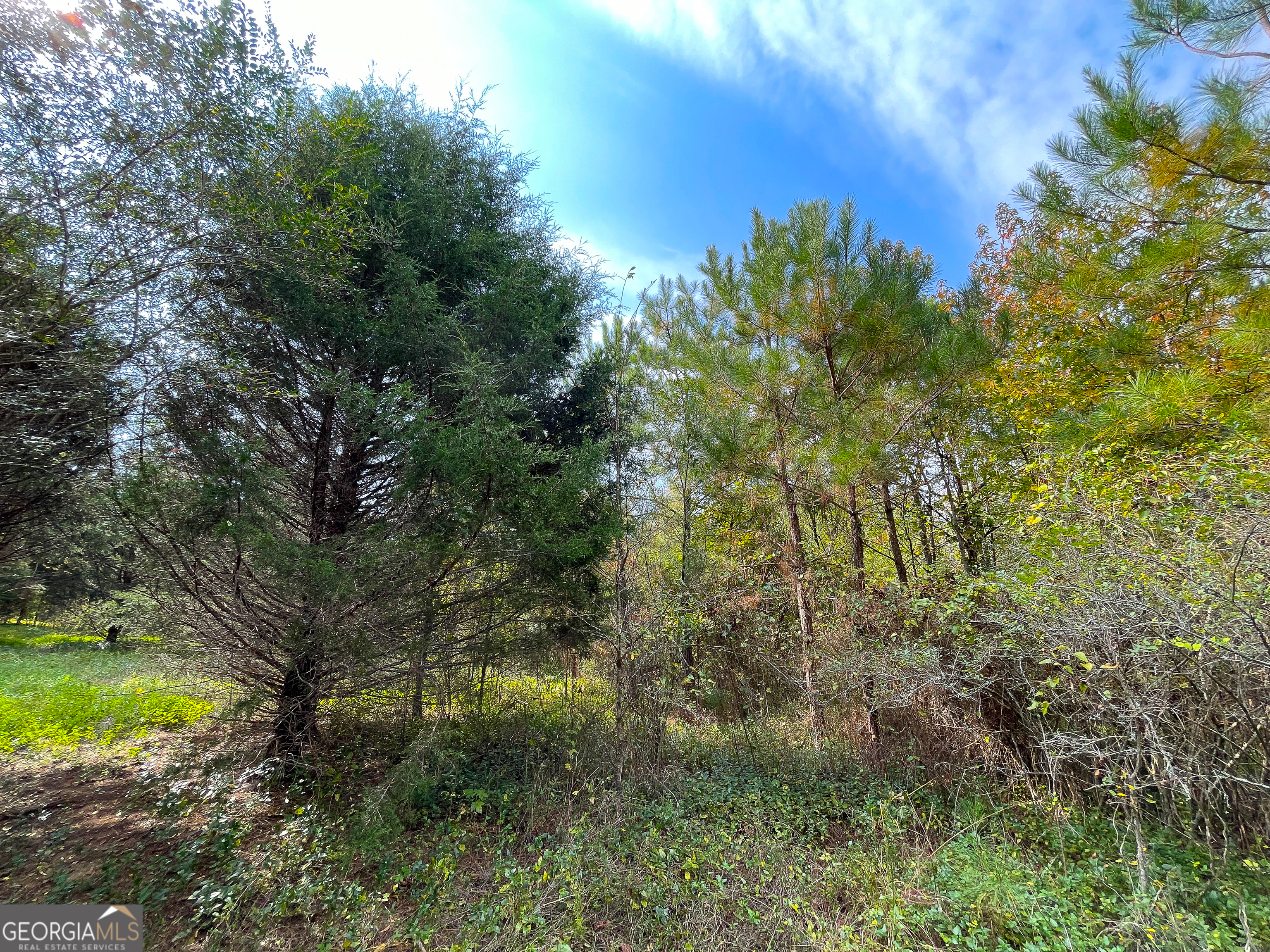 0 Prior Station Road Property Photo 9