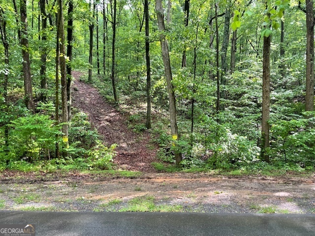 0 E Price Creek Road Property Photo 1