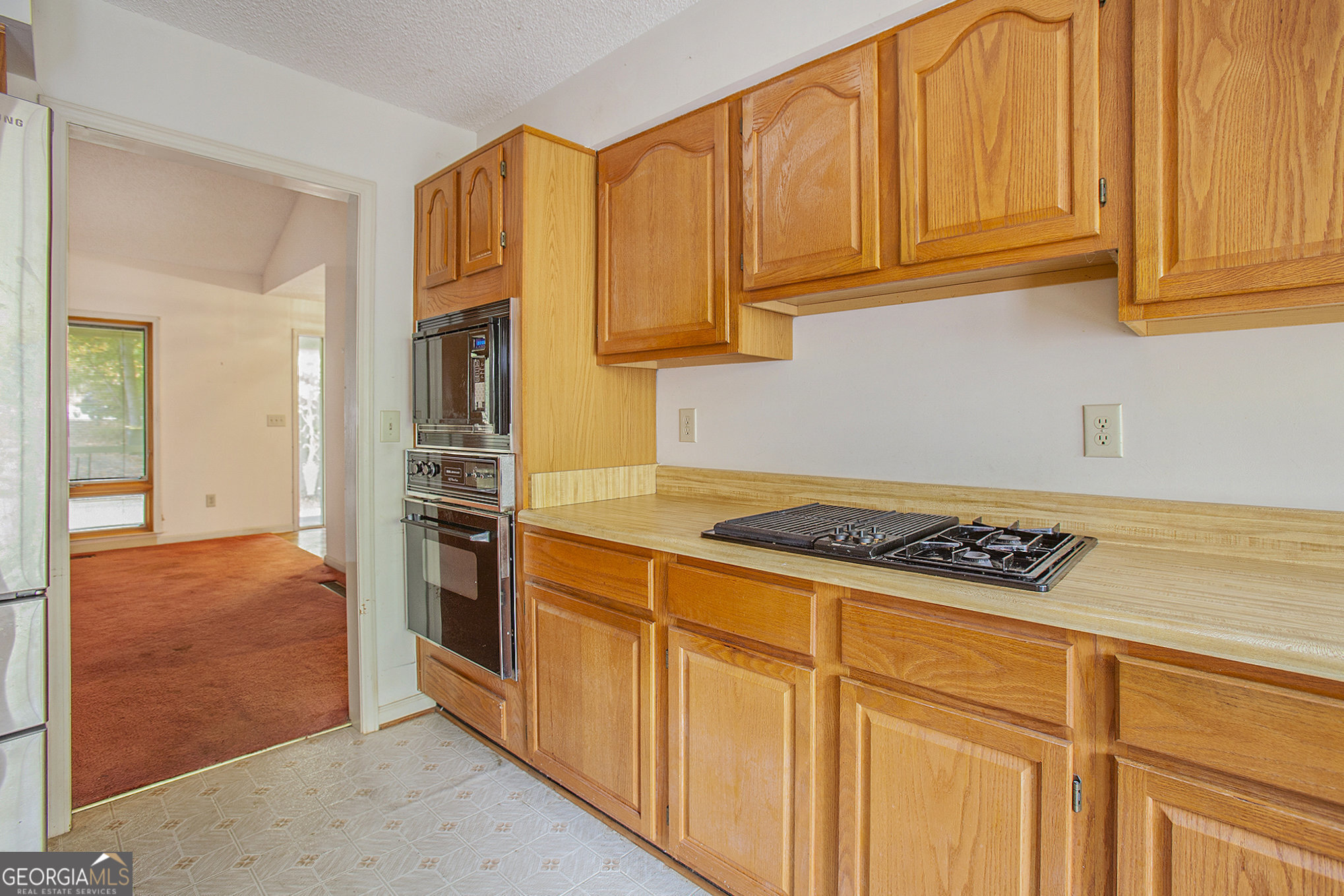 175 Carriage Gate Drive Property Photo 12