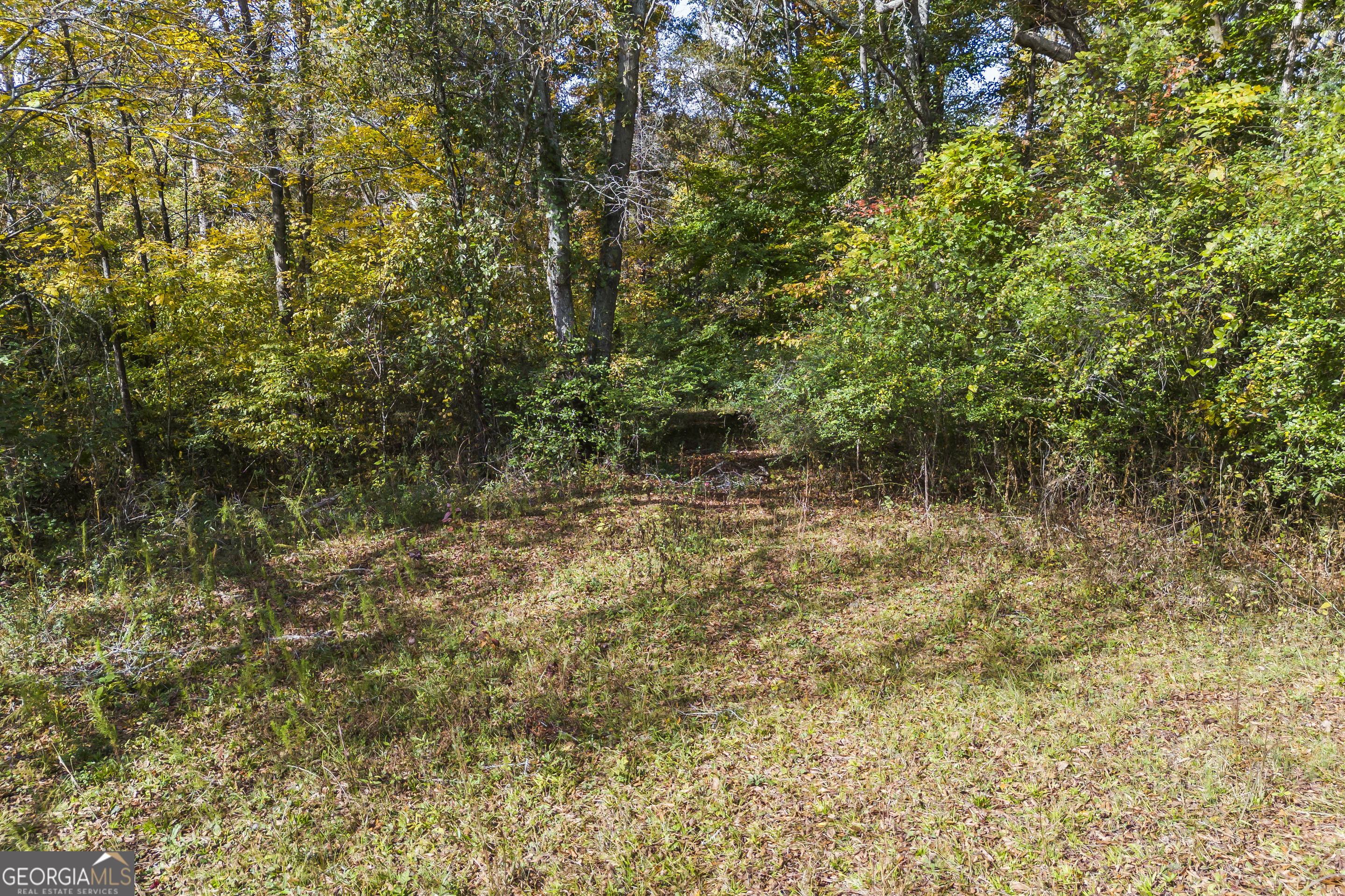 5354 Hwy 29 Property Photo 18