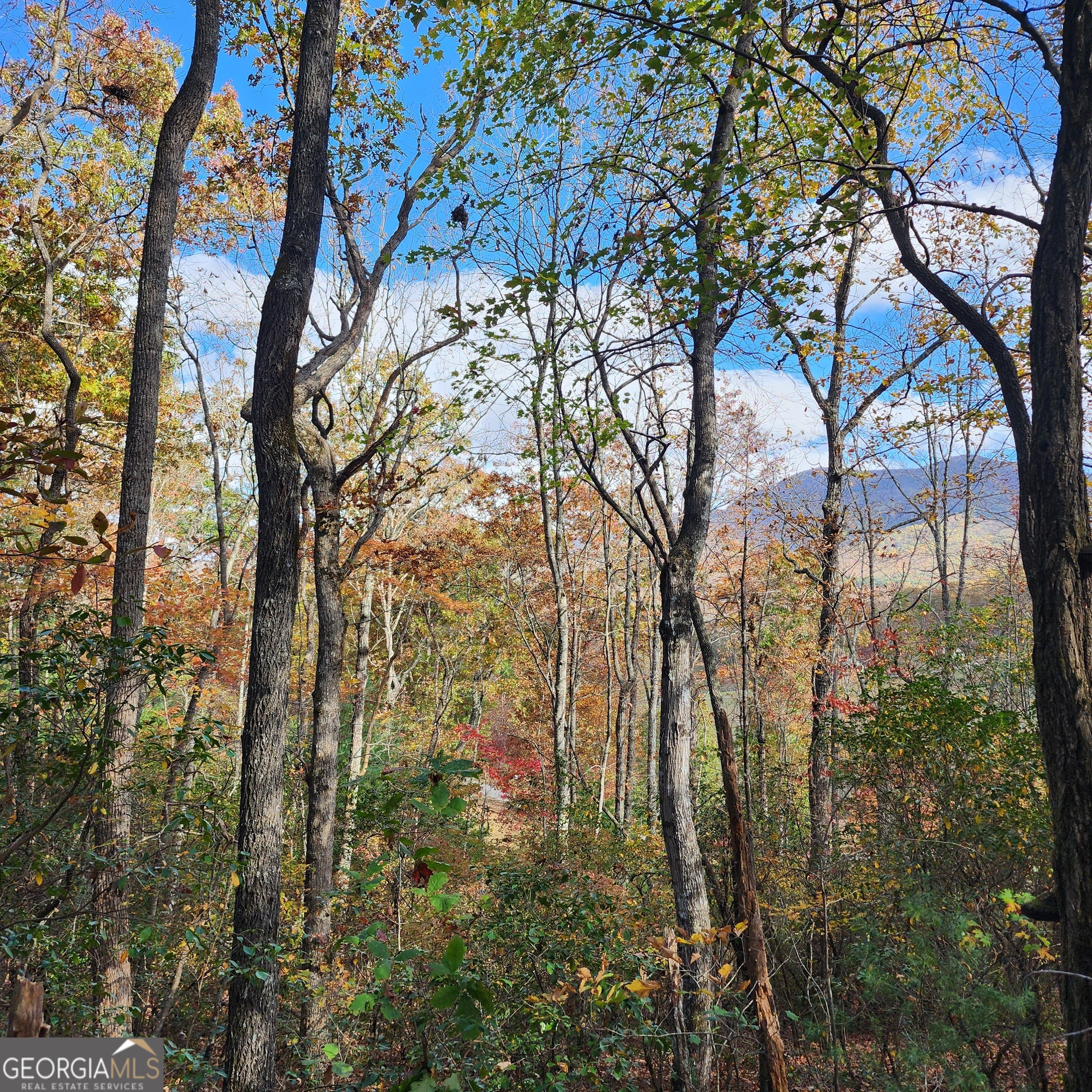 Lot 10 Enchantment Way Property Photo 2