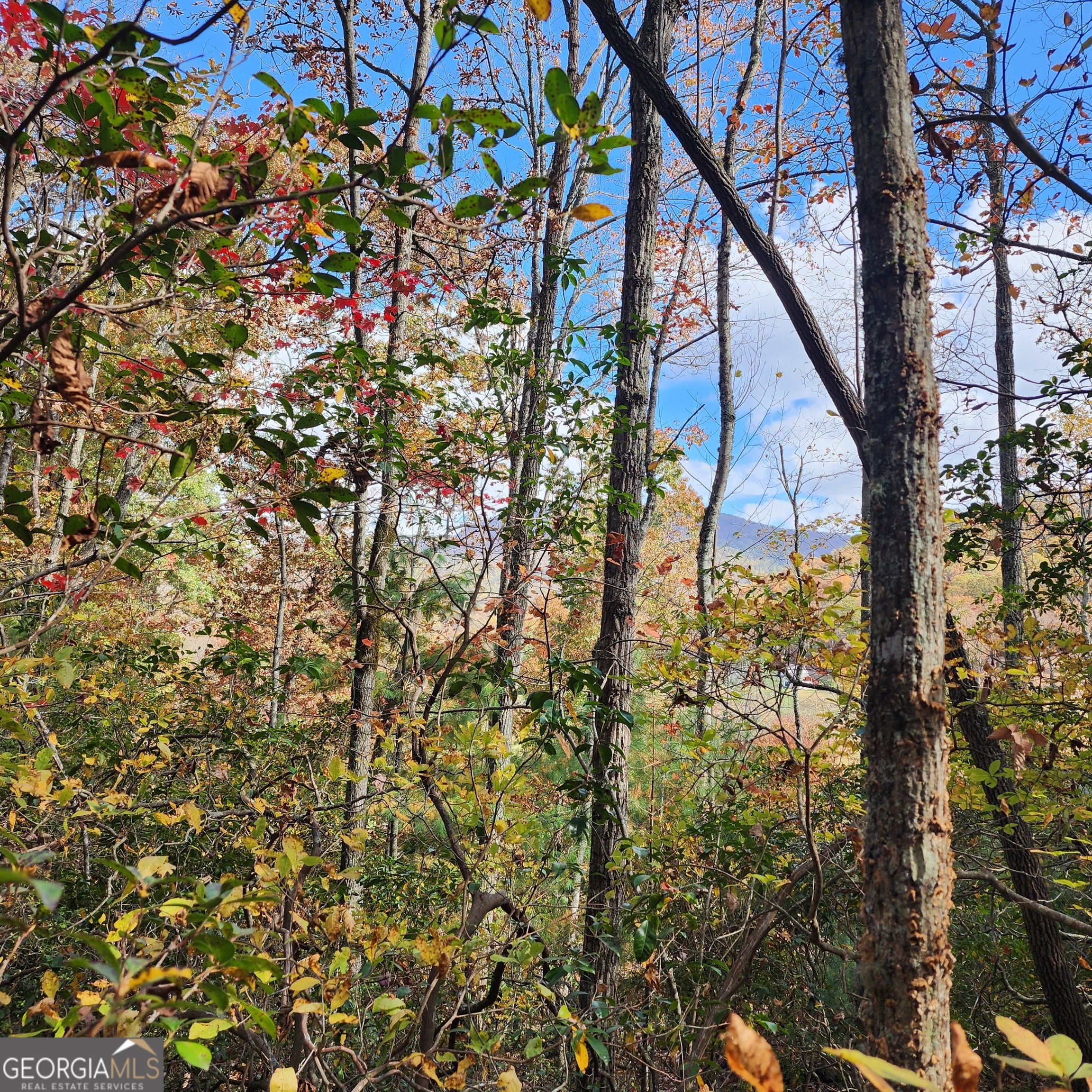 Lot 10 Enchantment Way Property Photo 4