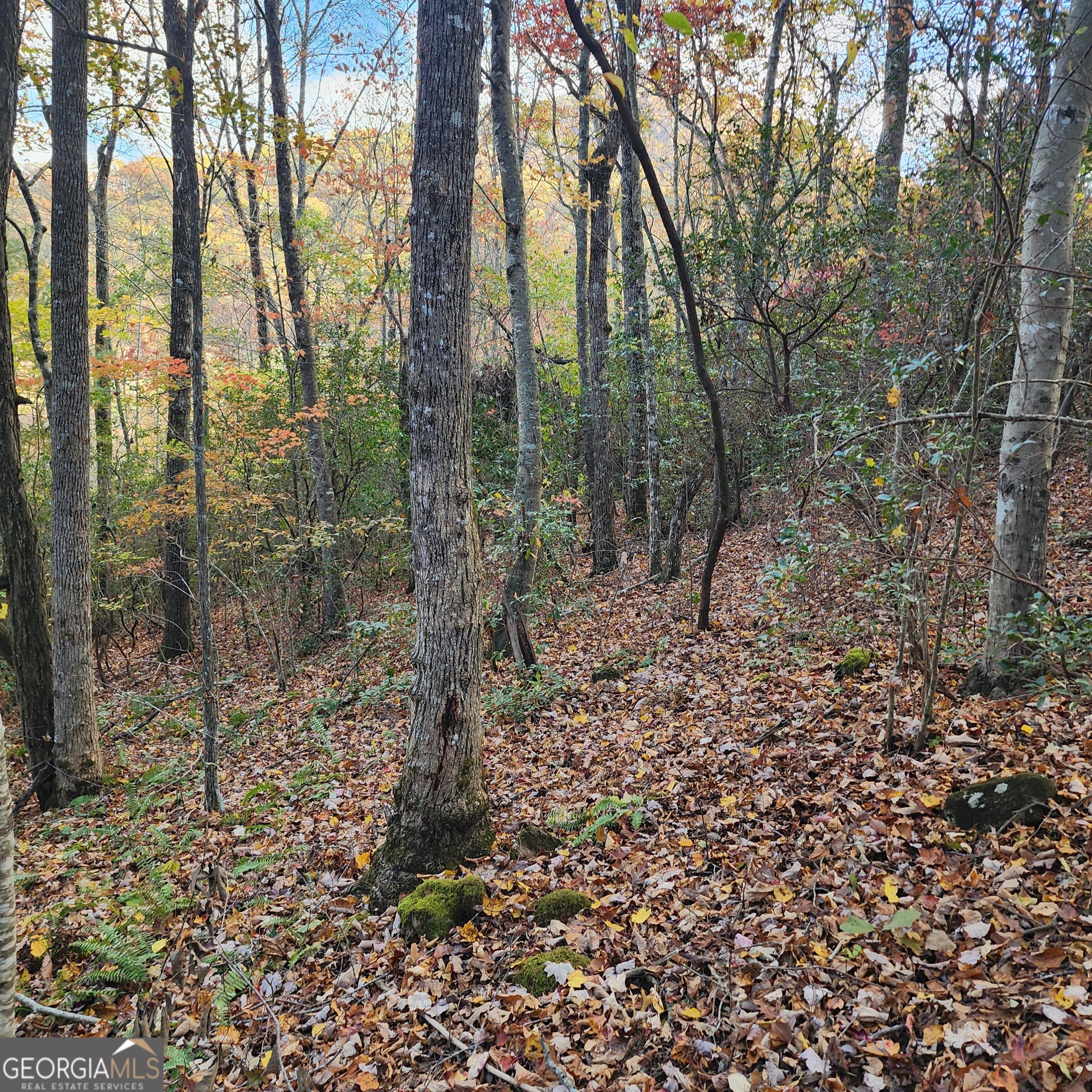Lot 10 Enchantment Way Property Photo 6