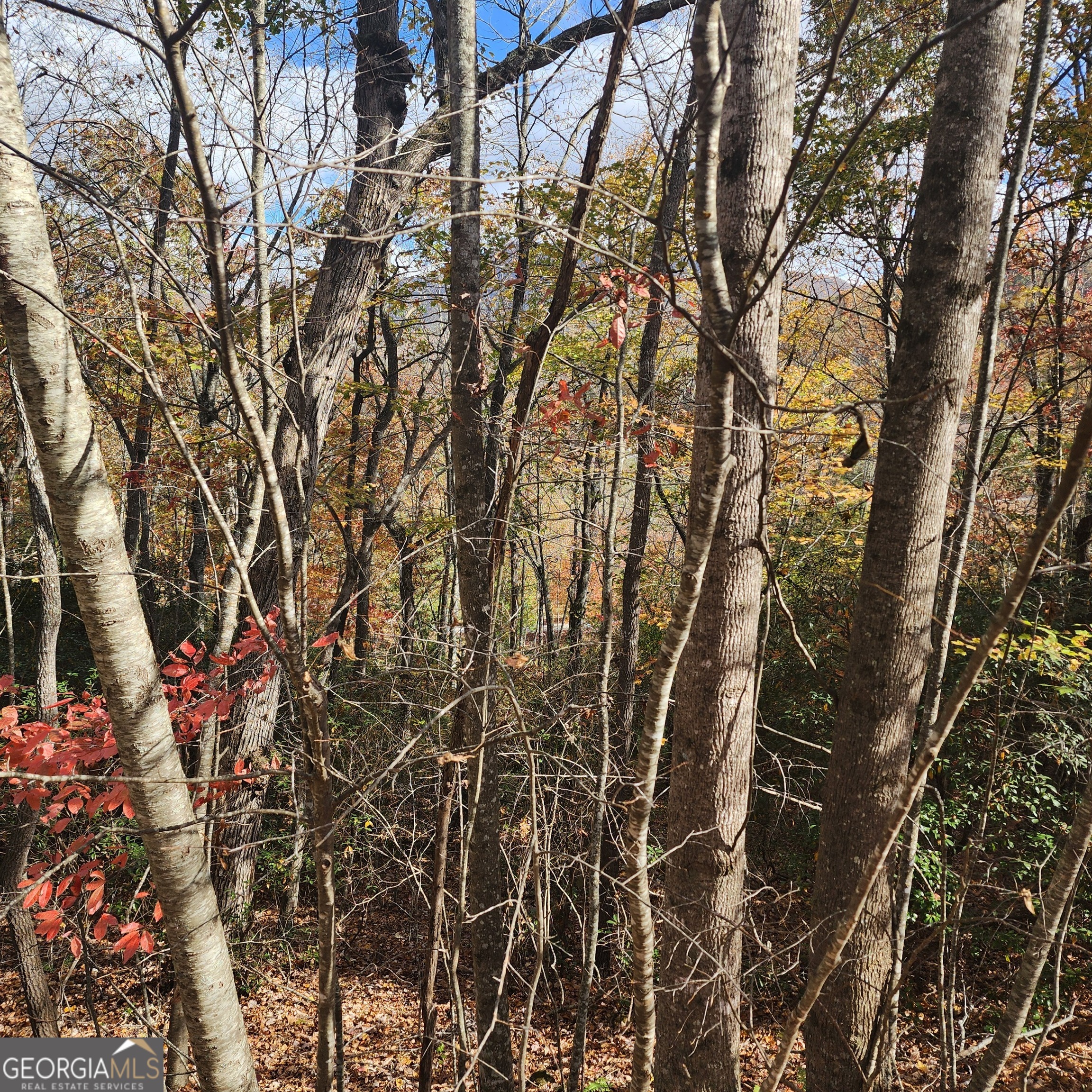 Lot 10 Enchantment Way Property Photo 7