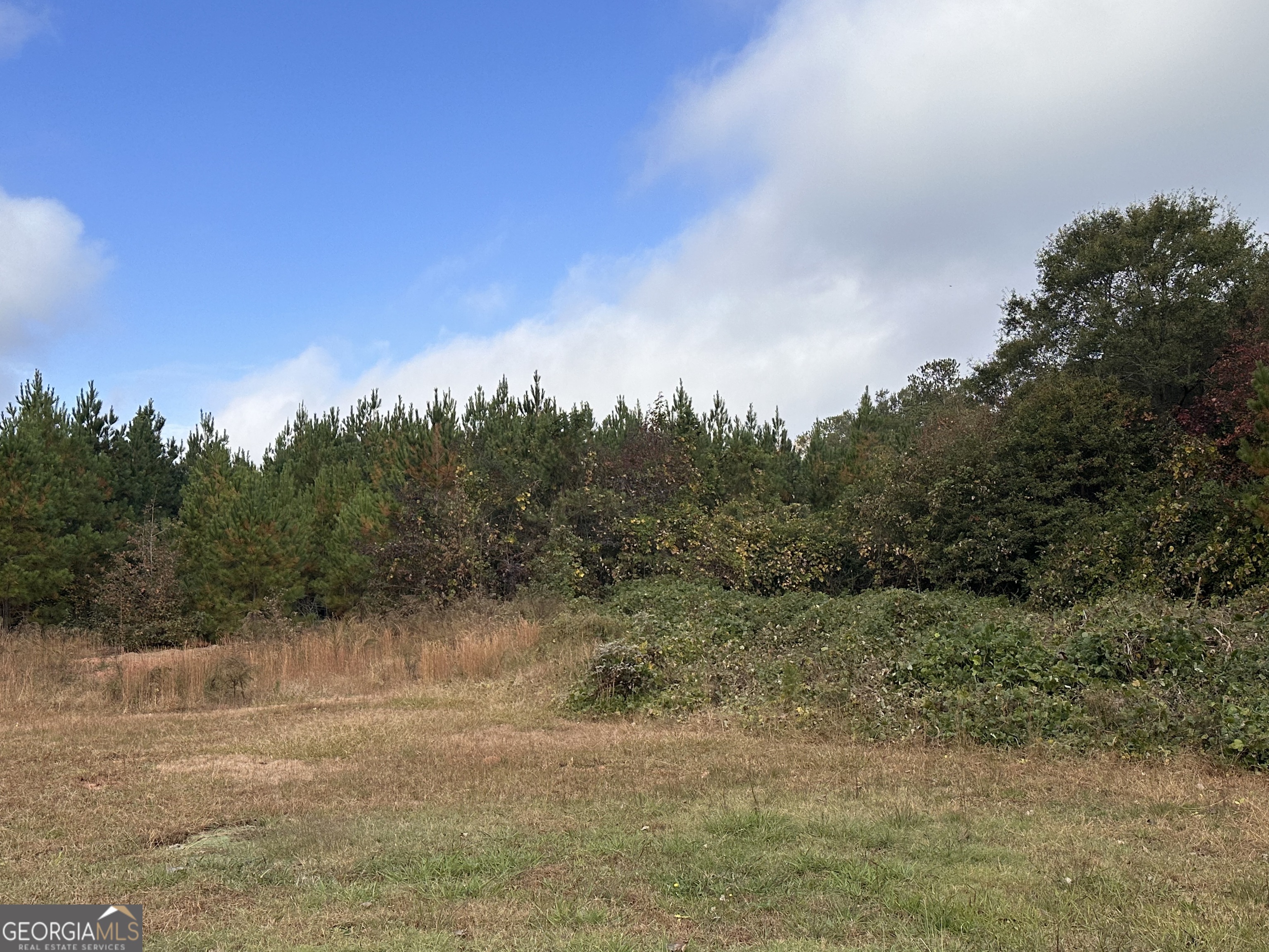 2148 N Fairview Road Property Photo 3