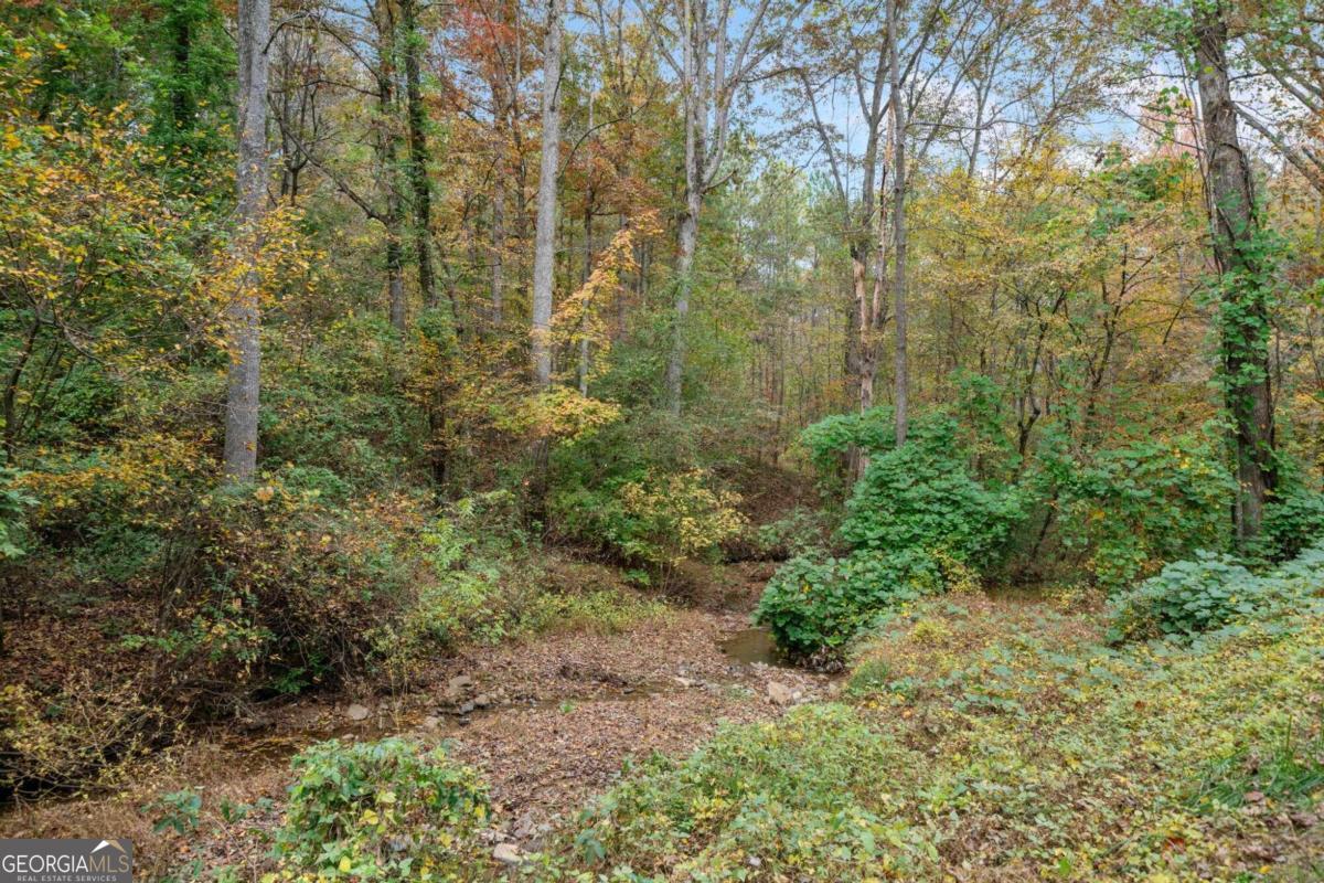 15.05 Acres Hobson Road Property Photo 3