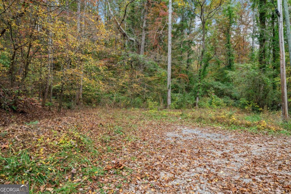 15.05 Acres Hobson Road Property Photo 5