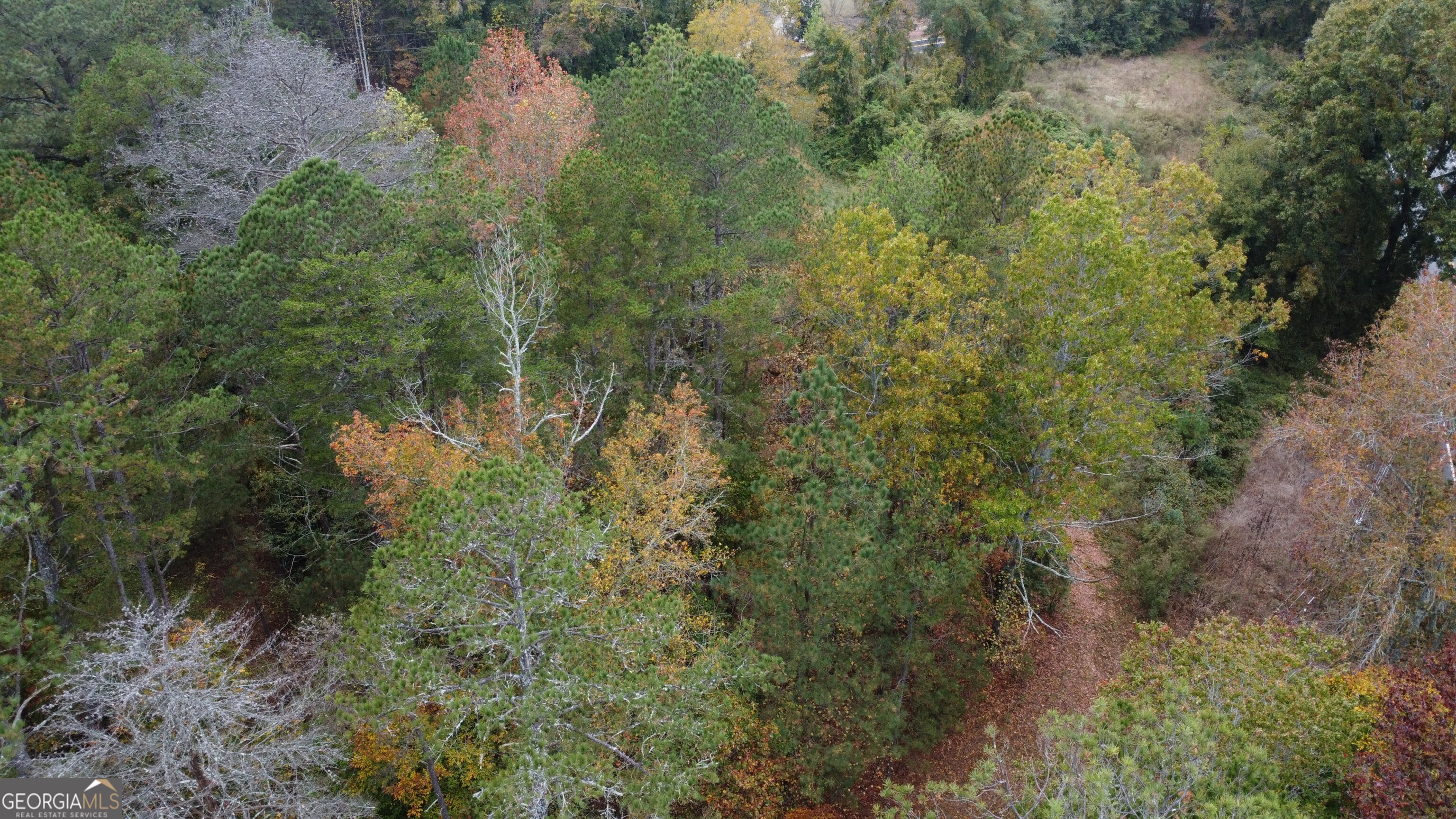 3069 Thompson Mill Road Property Photo 3
