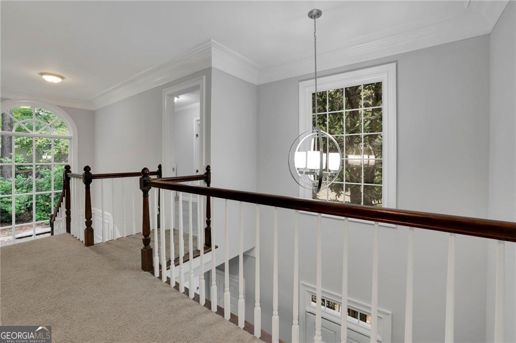 10 Braemore Drive Property Photo 25
