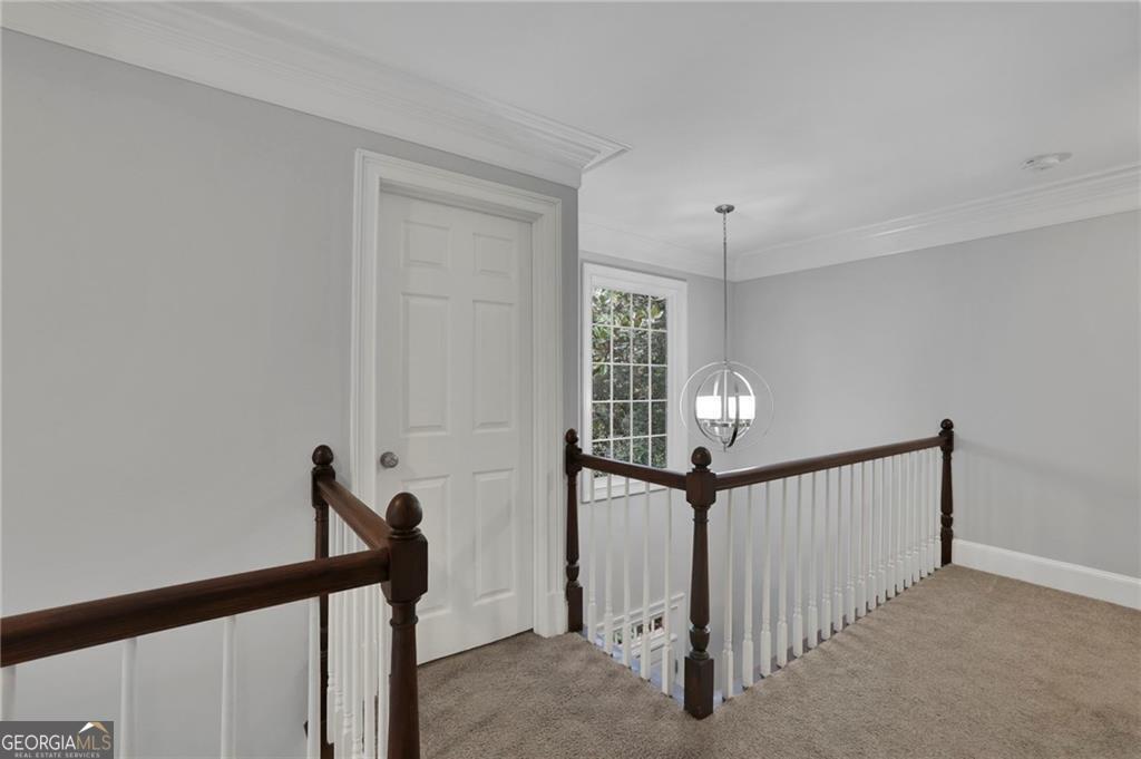 10 Braemore Drive Property Photo 43