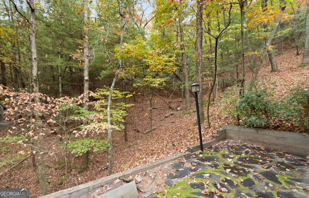 270 Buckskull Hollow Drive Property Photo 10