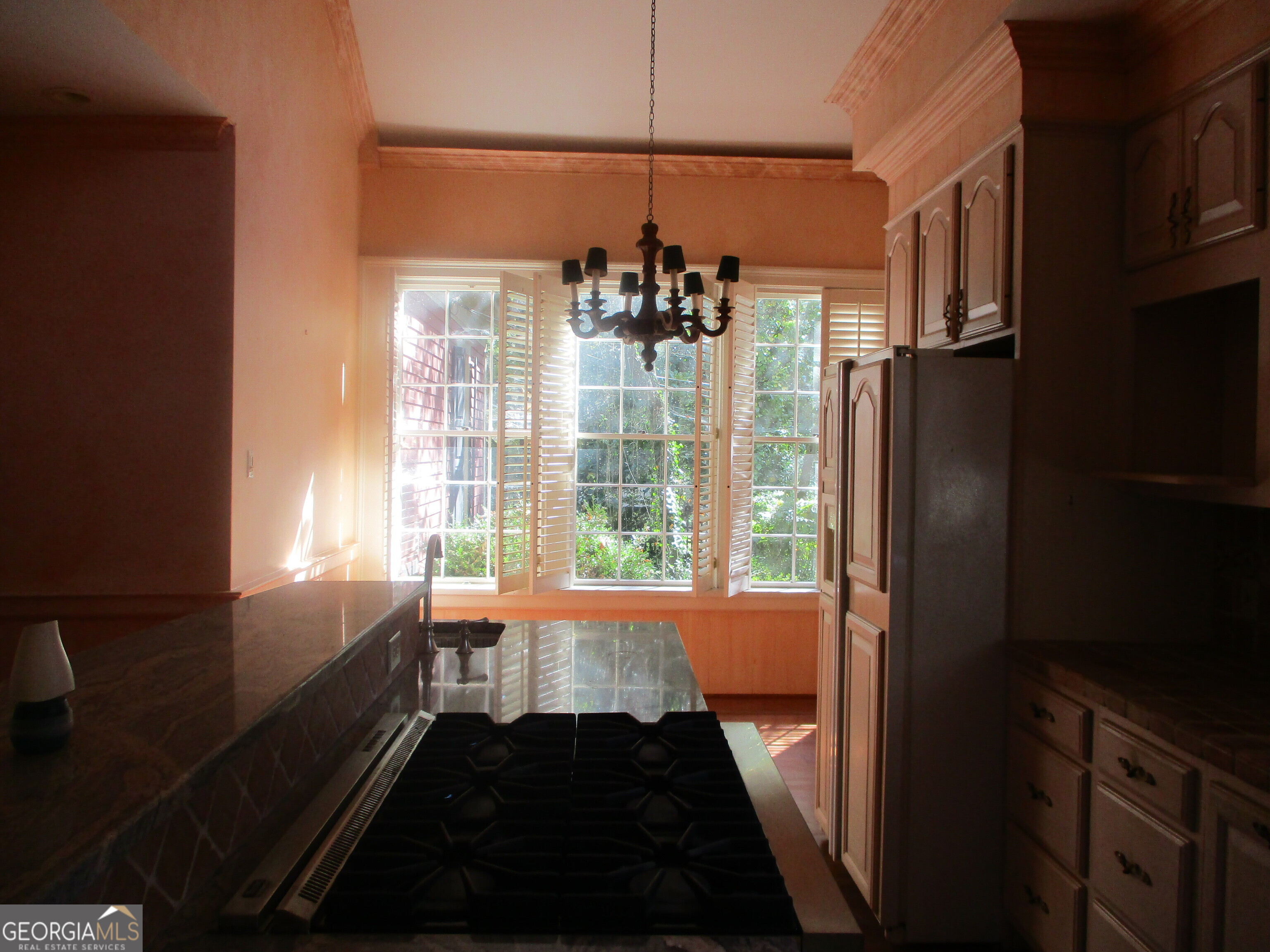 251 Pine Street Property Photo 12