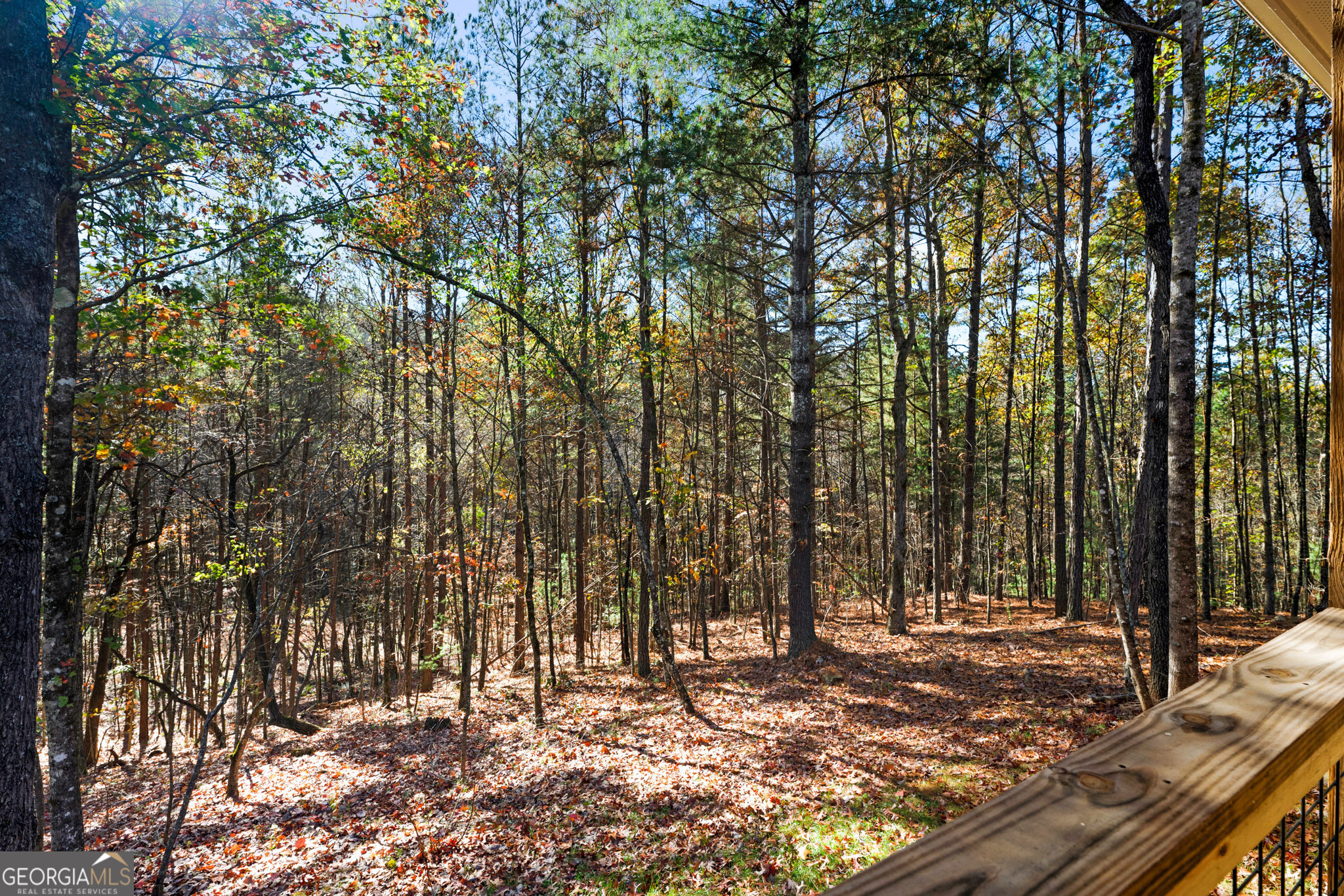 60 Mossy Oak Court # 73 Property Photo 39