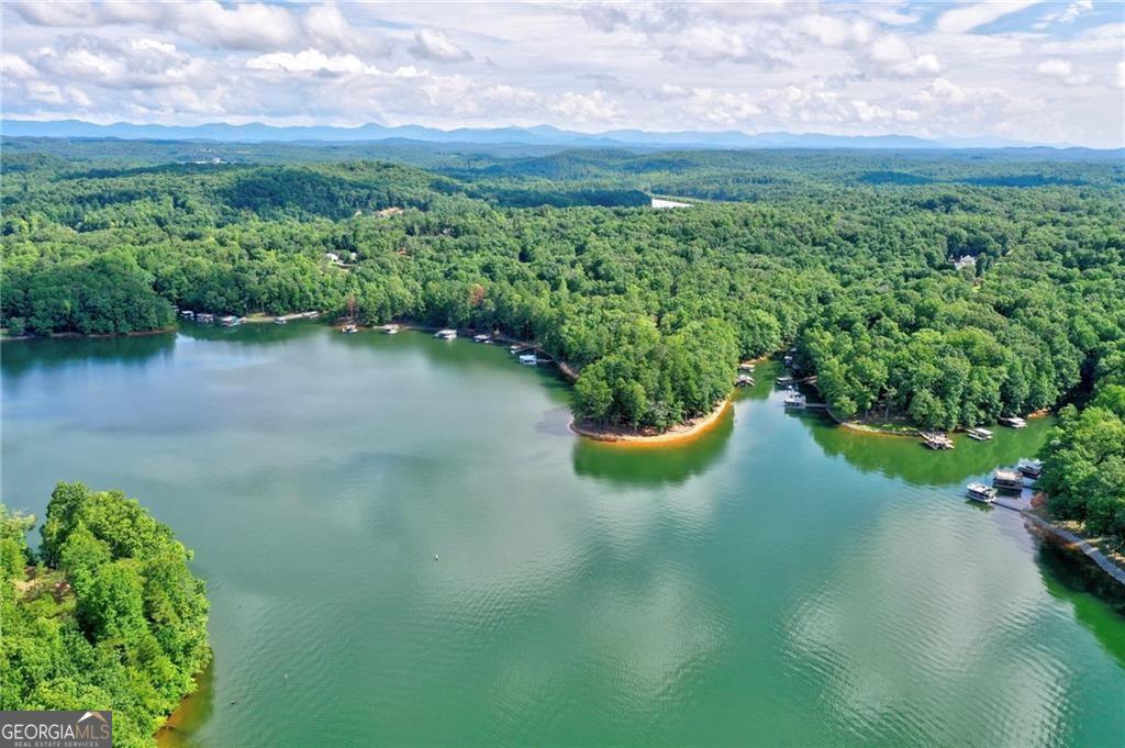 535 River Sound Lane Property Photo 4